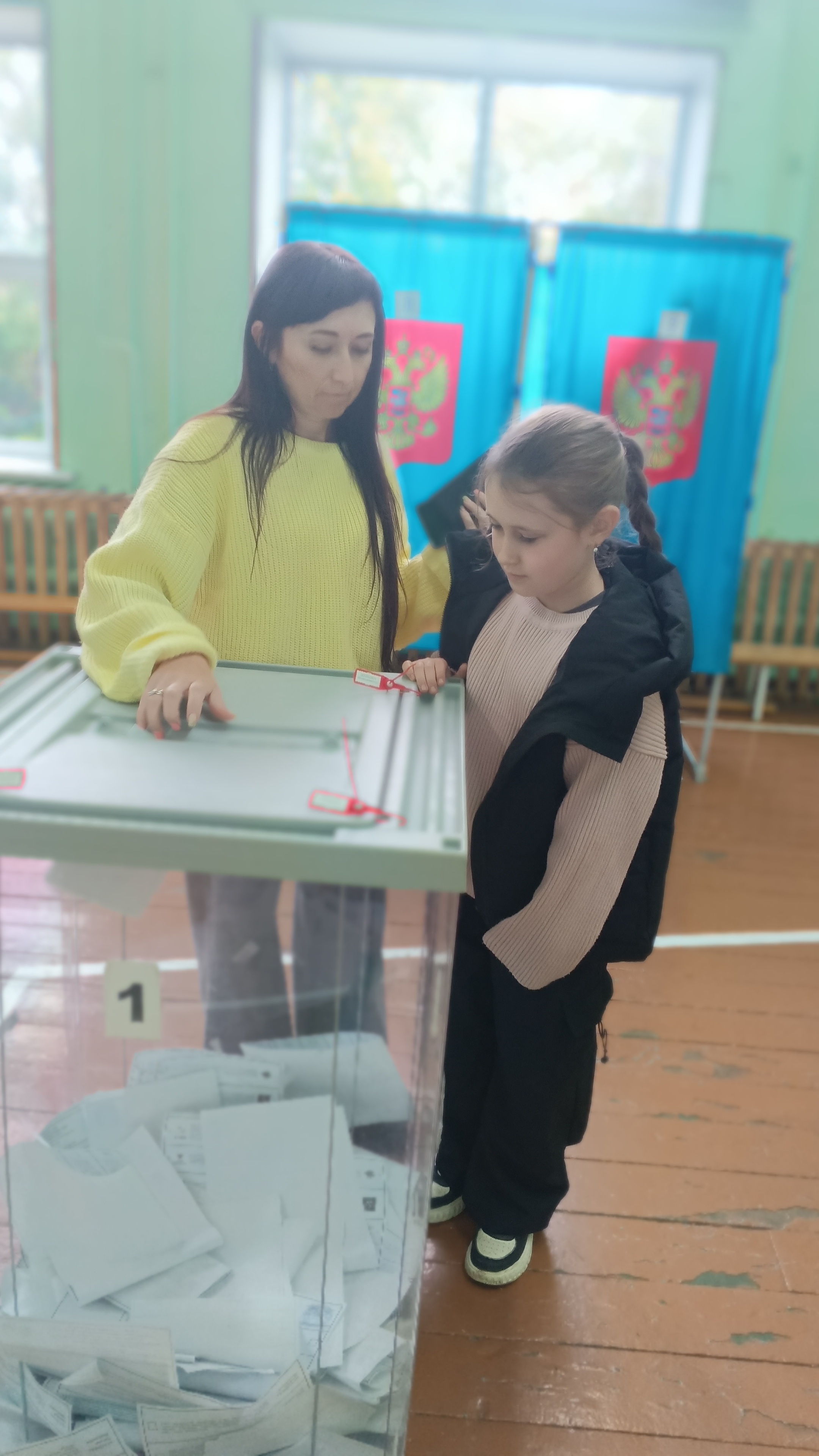 Сообщение — УИК №833, Новосибирская область