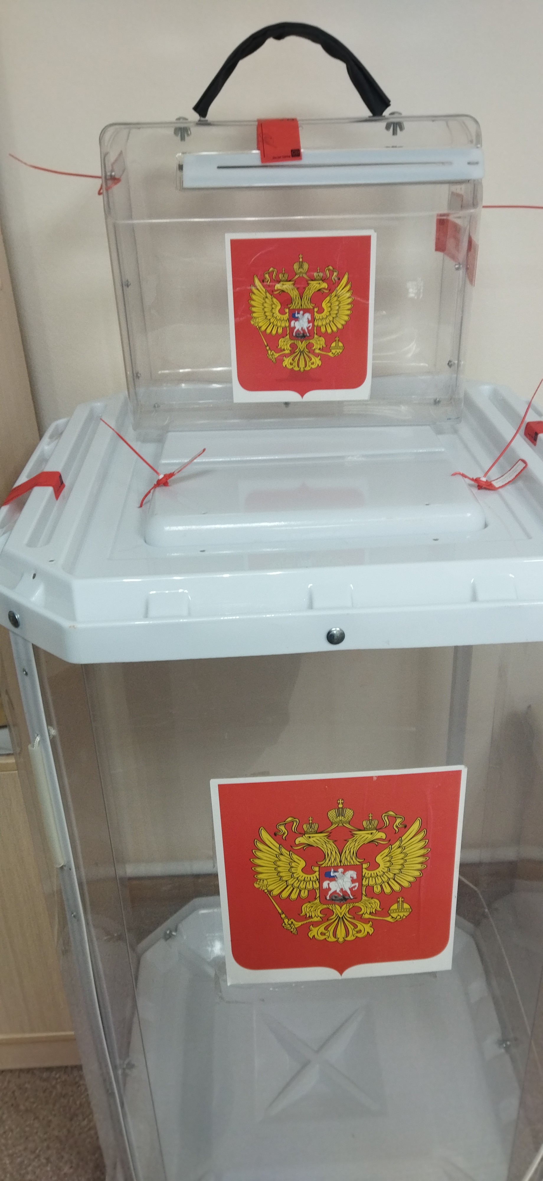 Сообщение наблюдателя — УИК №1223, Белгородская область