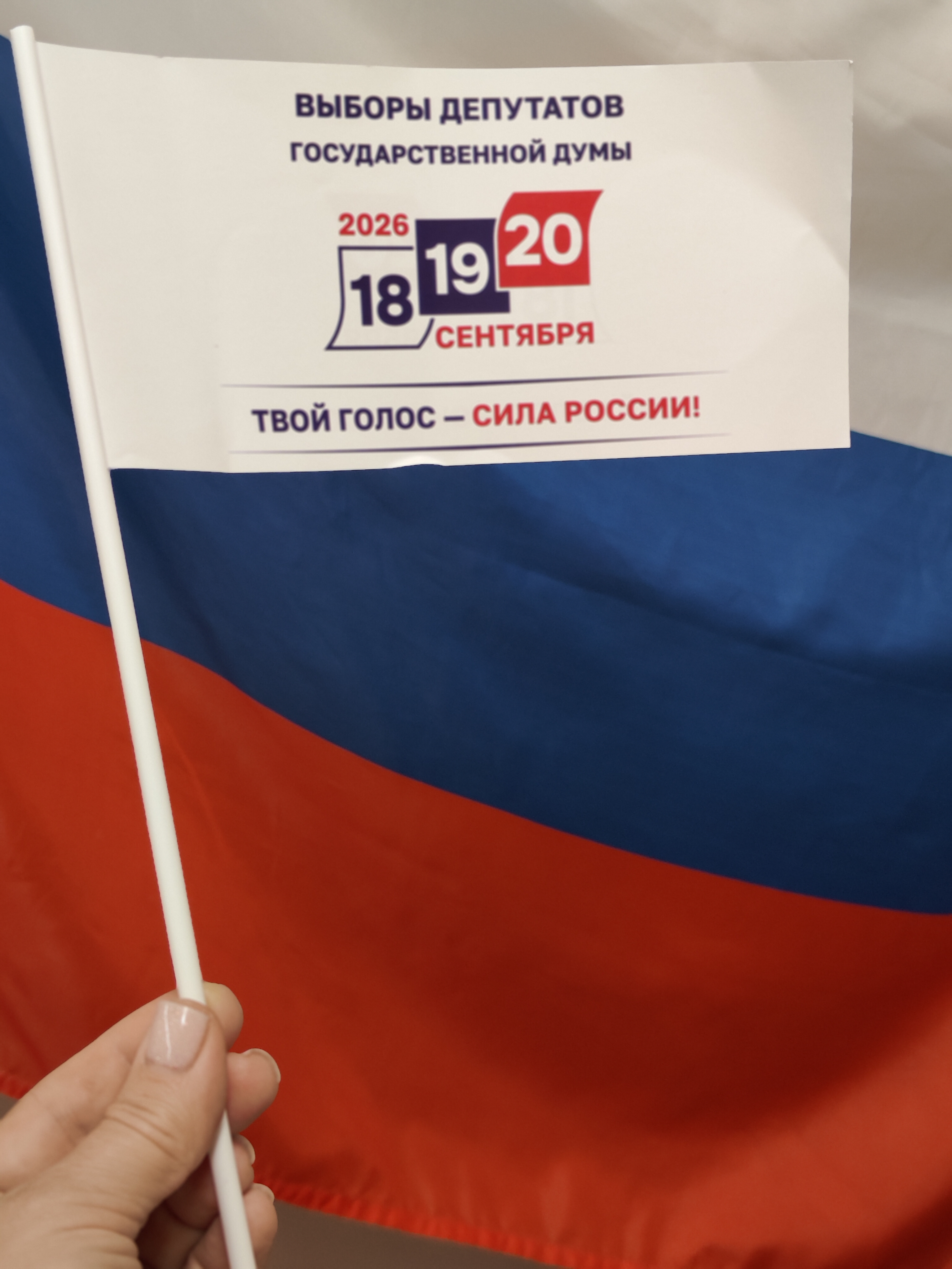 Сообщение — УИК №394, Смоленская область