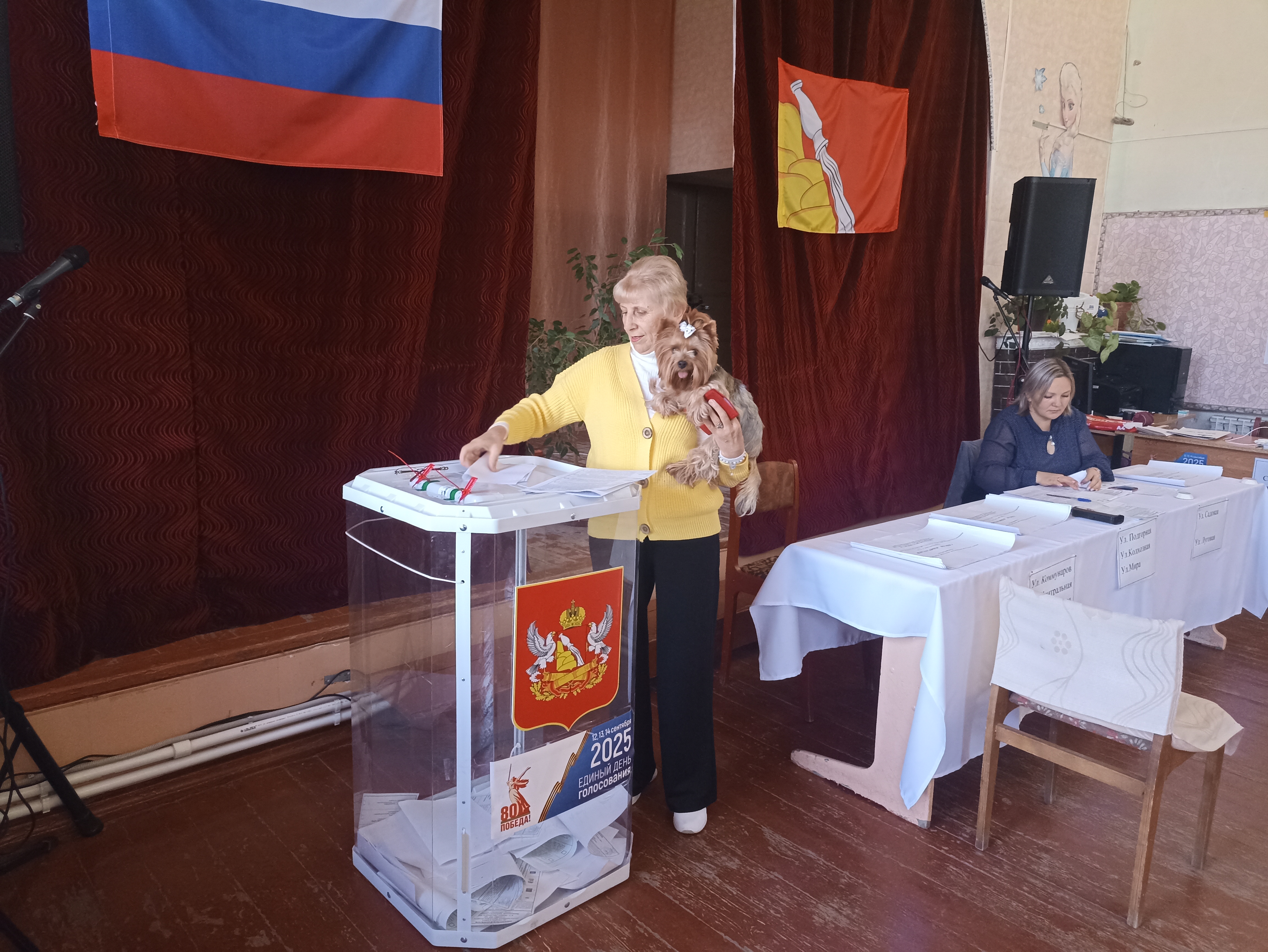 Сообщение наблюдателя — УИК №2731, Воронежская область