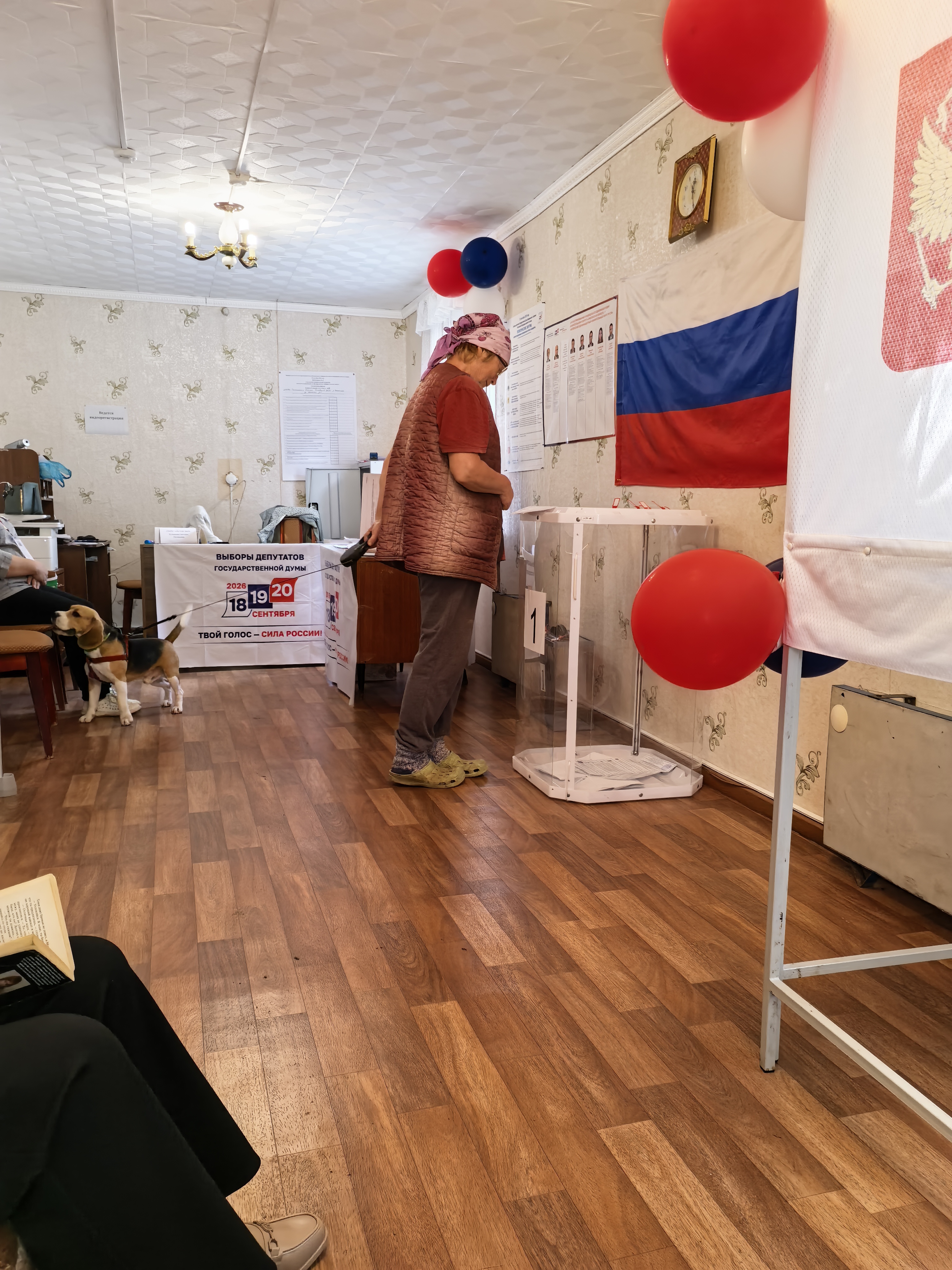 Сообщение — УИК №658, Смоленская область