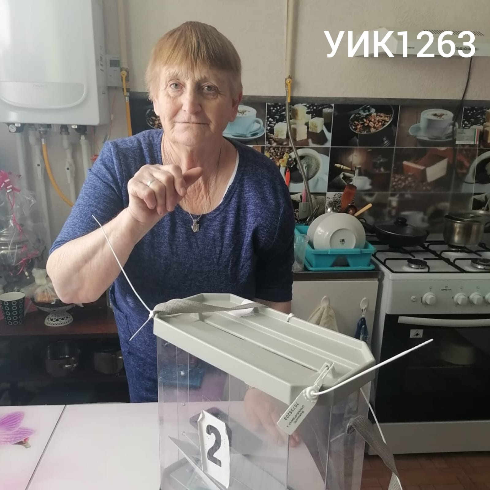 Сообщение наблюдателя — УИК №1263, Саратовская область