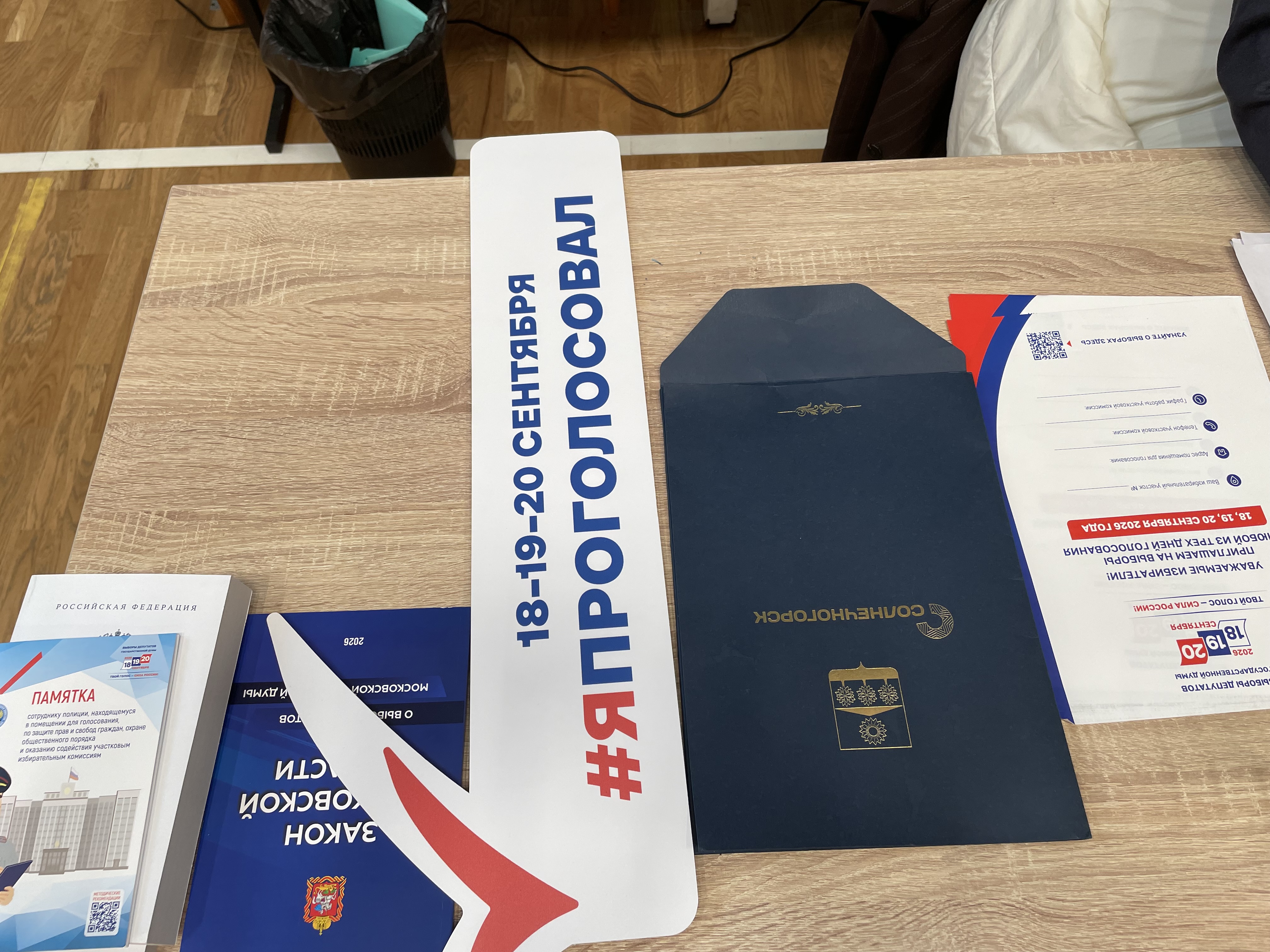 Сообщение — УИК №4096, Московская область