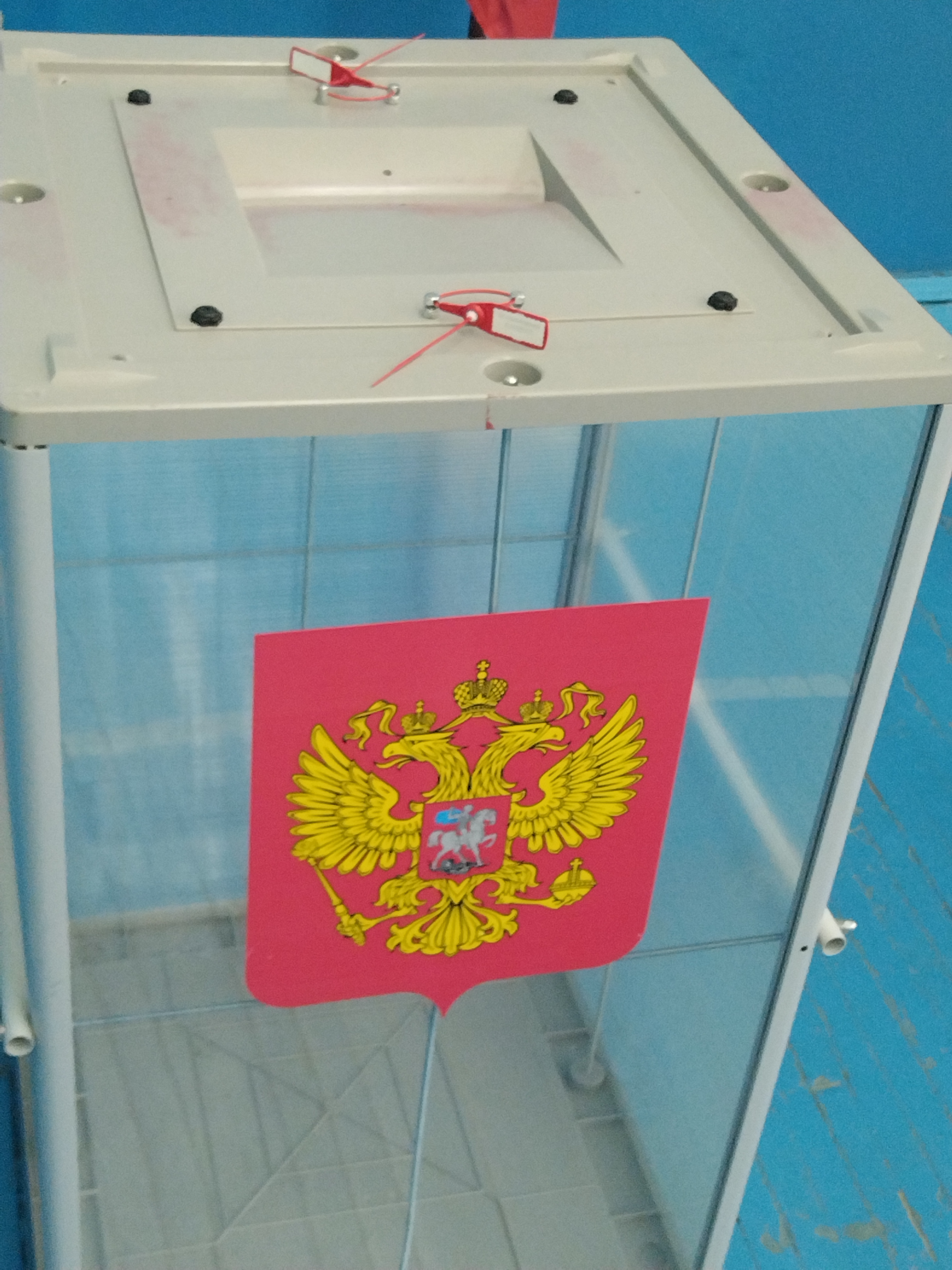 Сообщение наблюдателя — УИК №774, Челябинская область