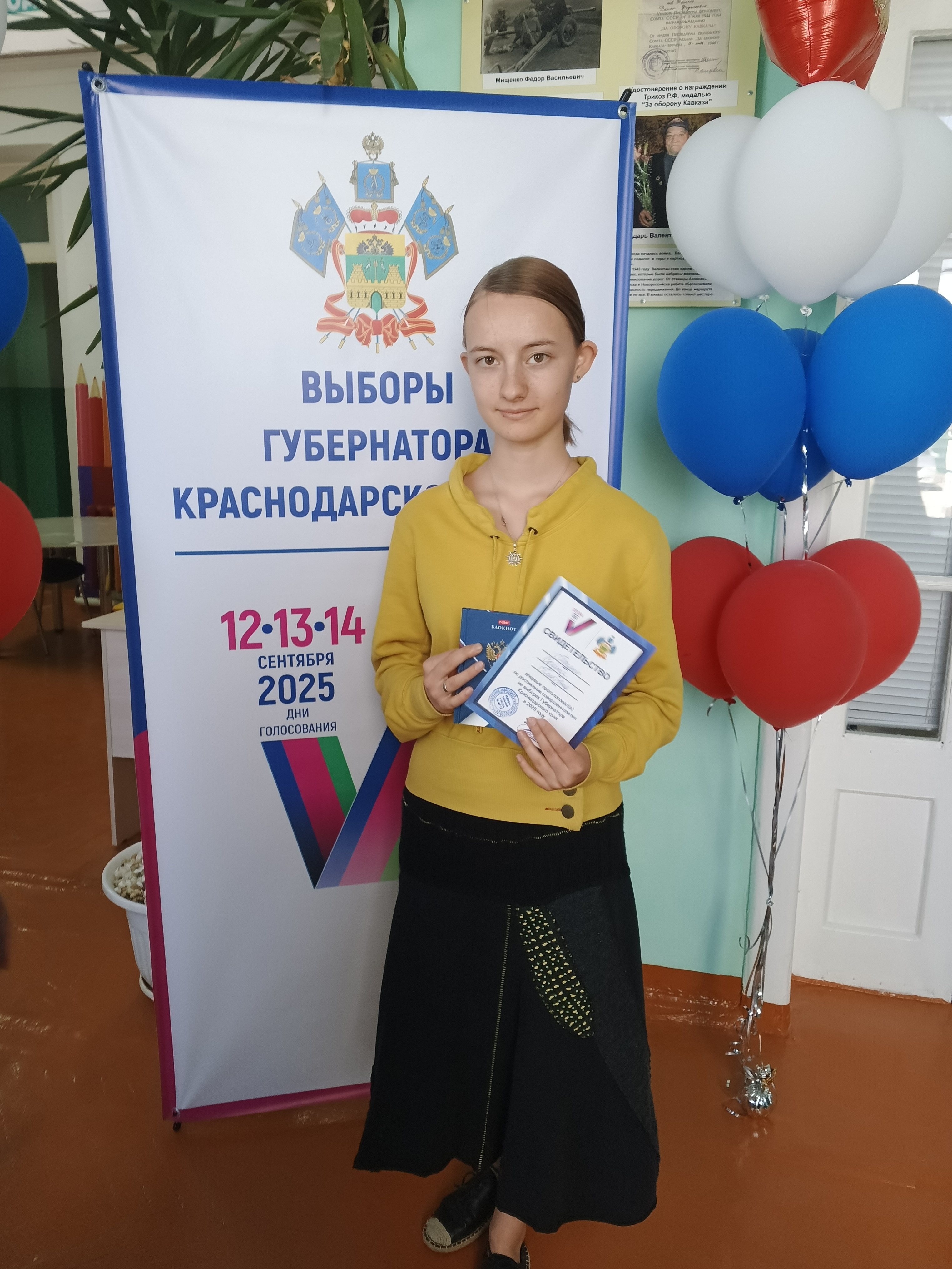 Сообщение наблюдателя — УИК №4119, Краснодарский край