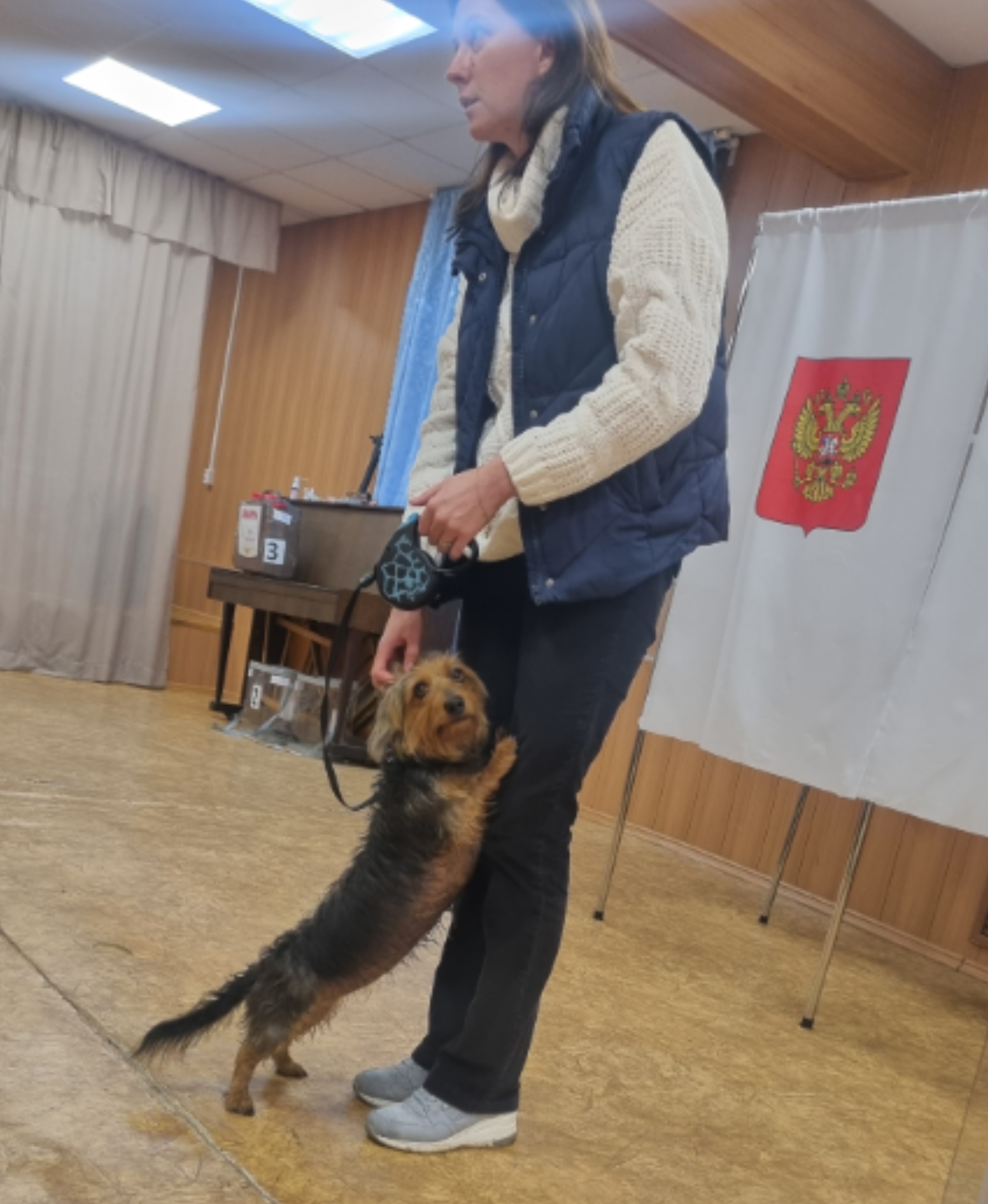 Сообщение — УИК №2566, Московская область
