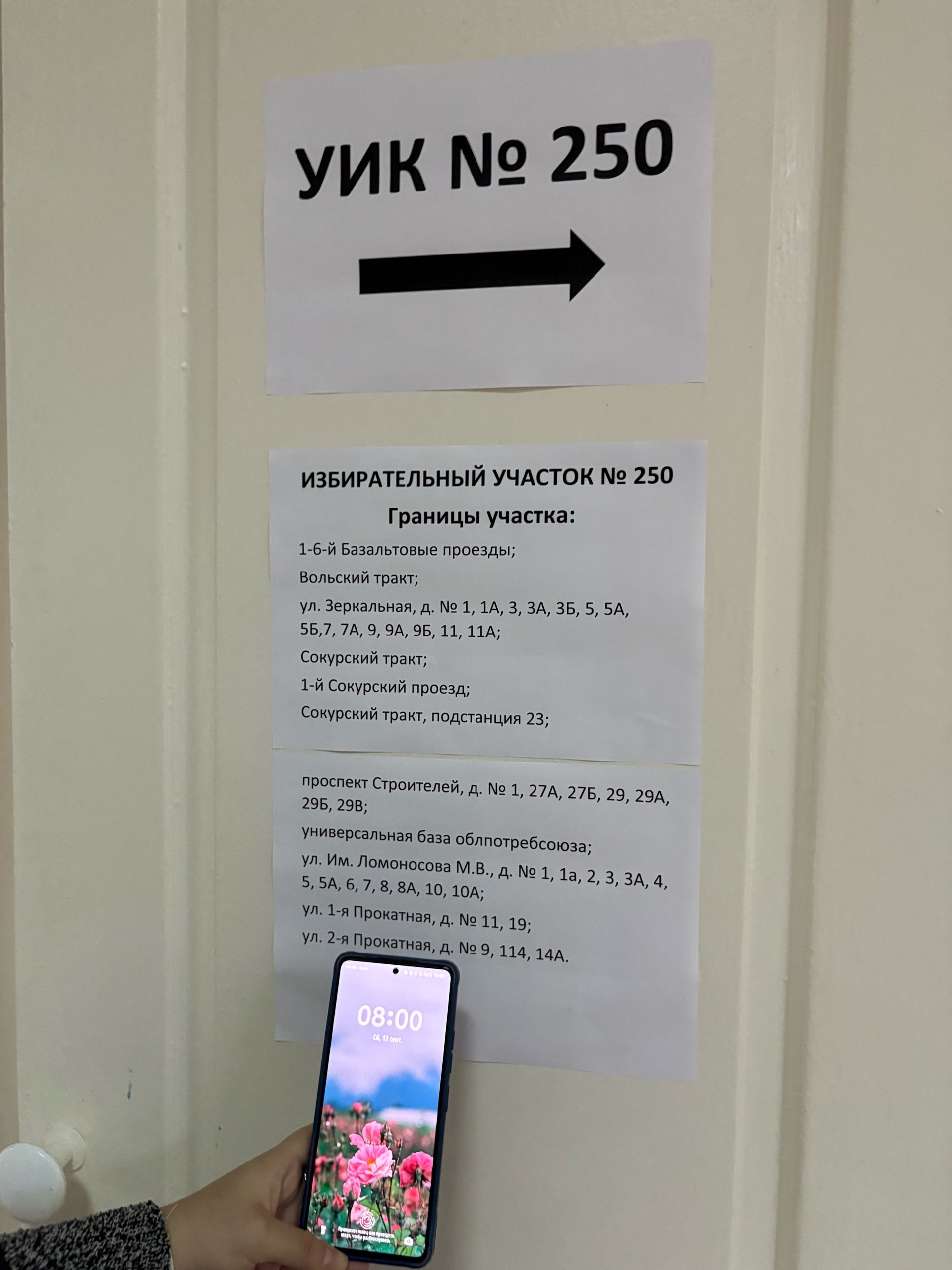 Сообщение наблюдателя — УИК №250, Саратовская область