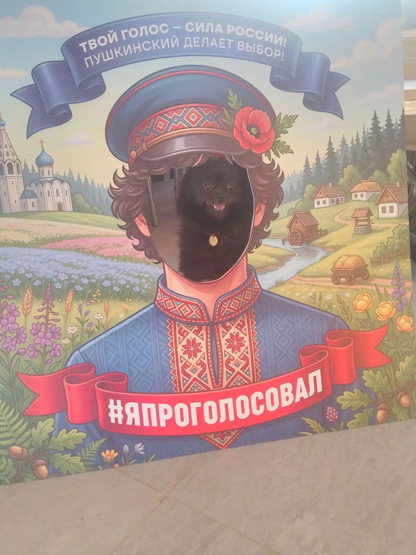 Сообщение — УИК №2465, Московская область
