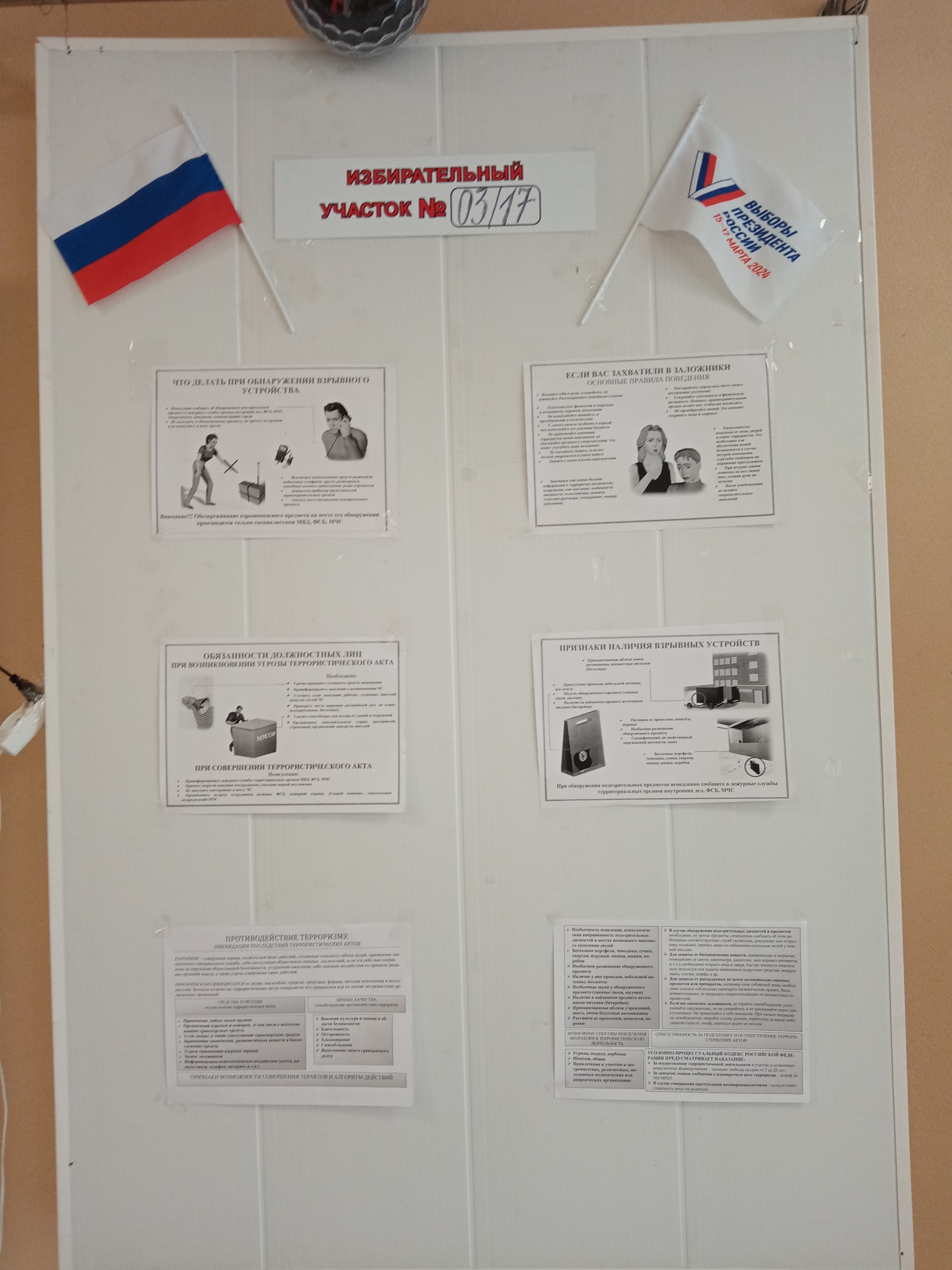 Сообщение наблюдателя — УИК №317, Воронежская область