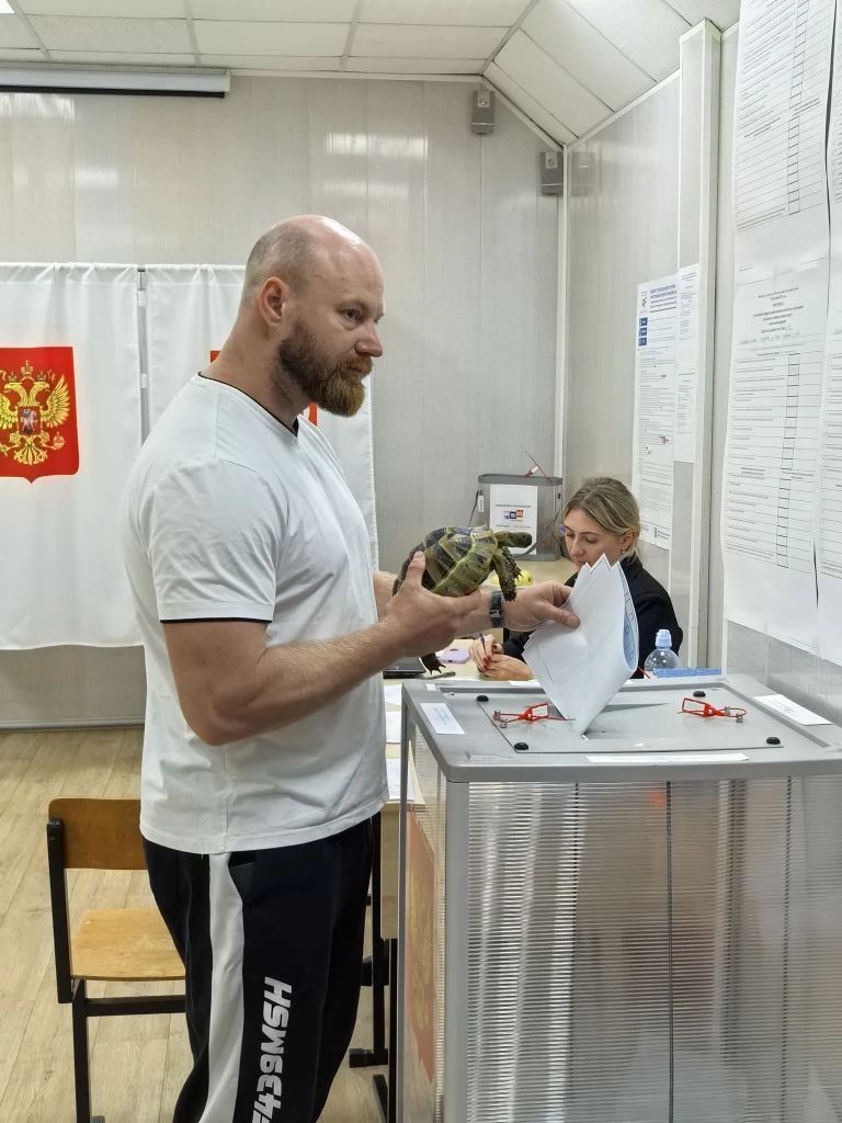 Сообщение — УИК №505, Московская область