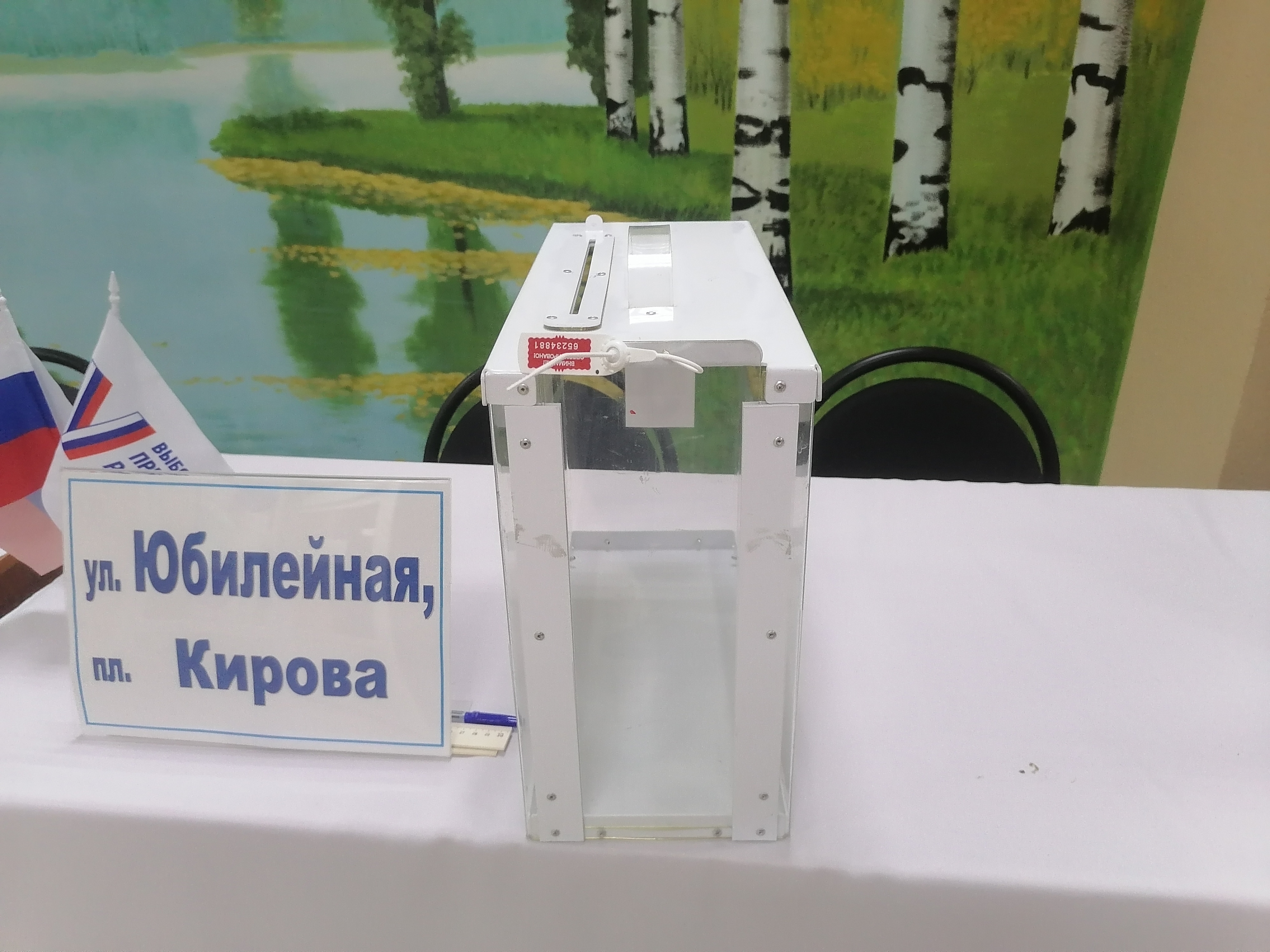 Сообщение наблюдателя — УИК №2053, Воронежская область