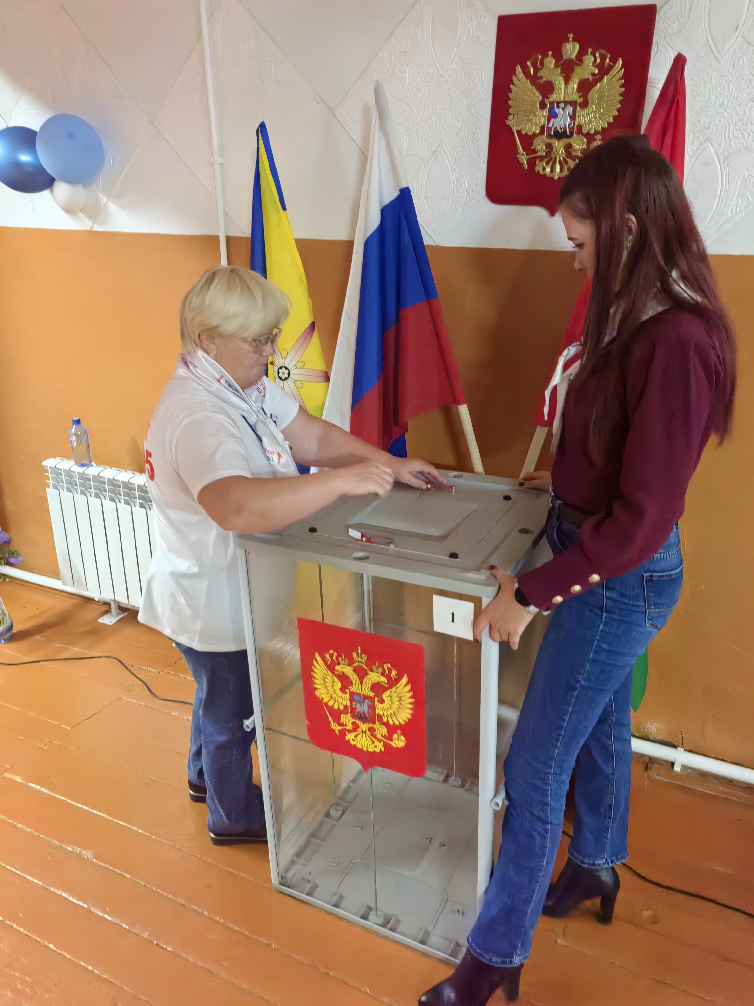 Сообщение — УИК №295, Новосибирская область