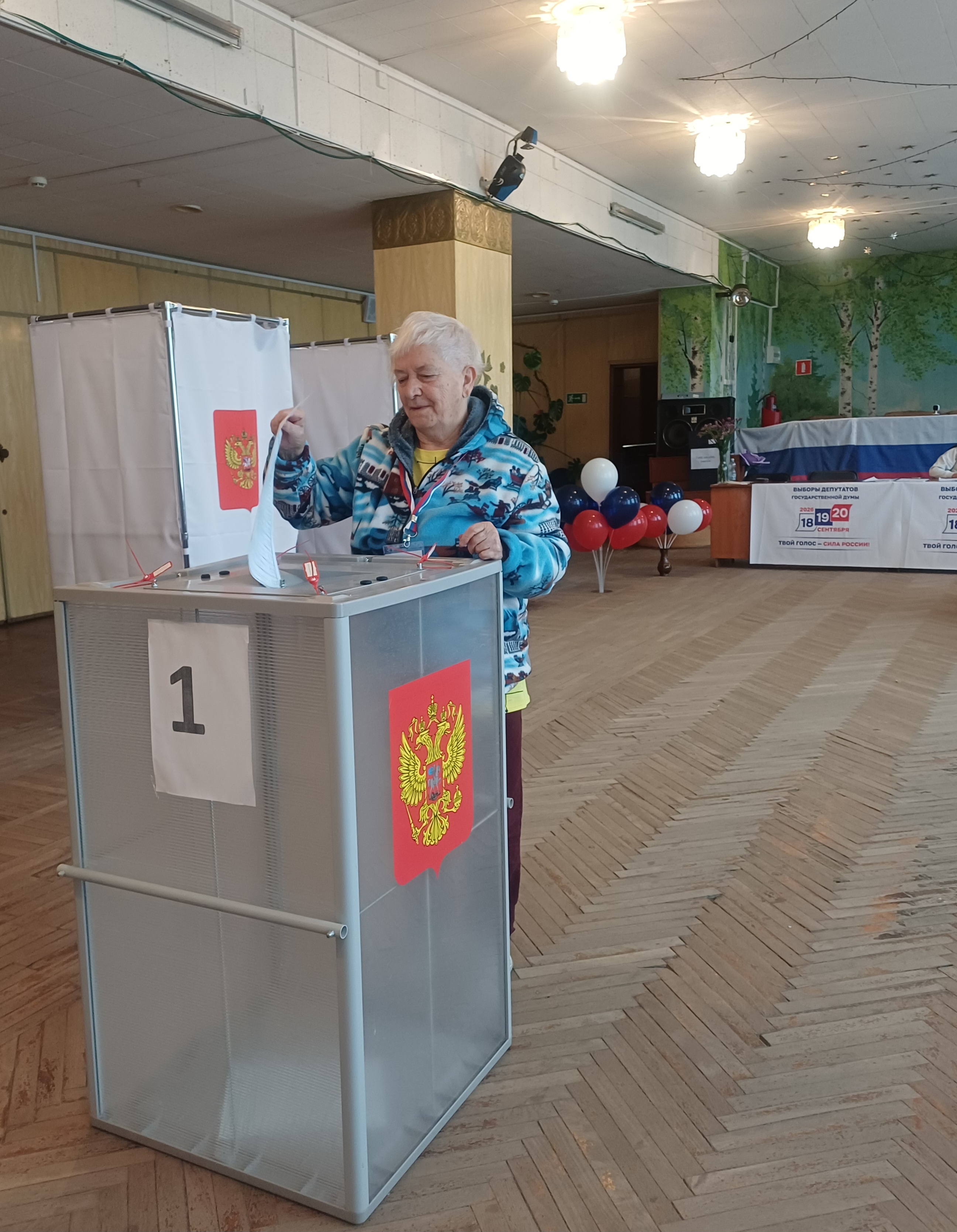 Сообщение — УИК №645, Смоленская область