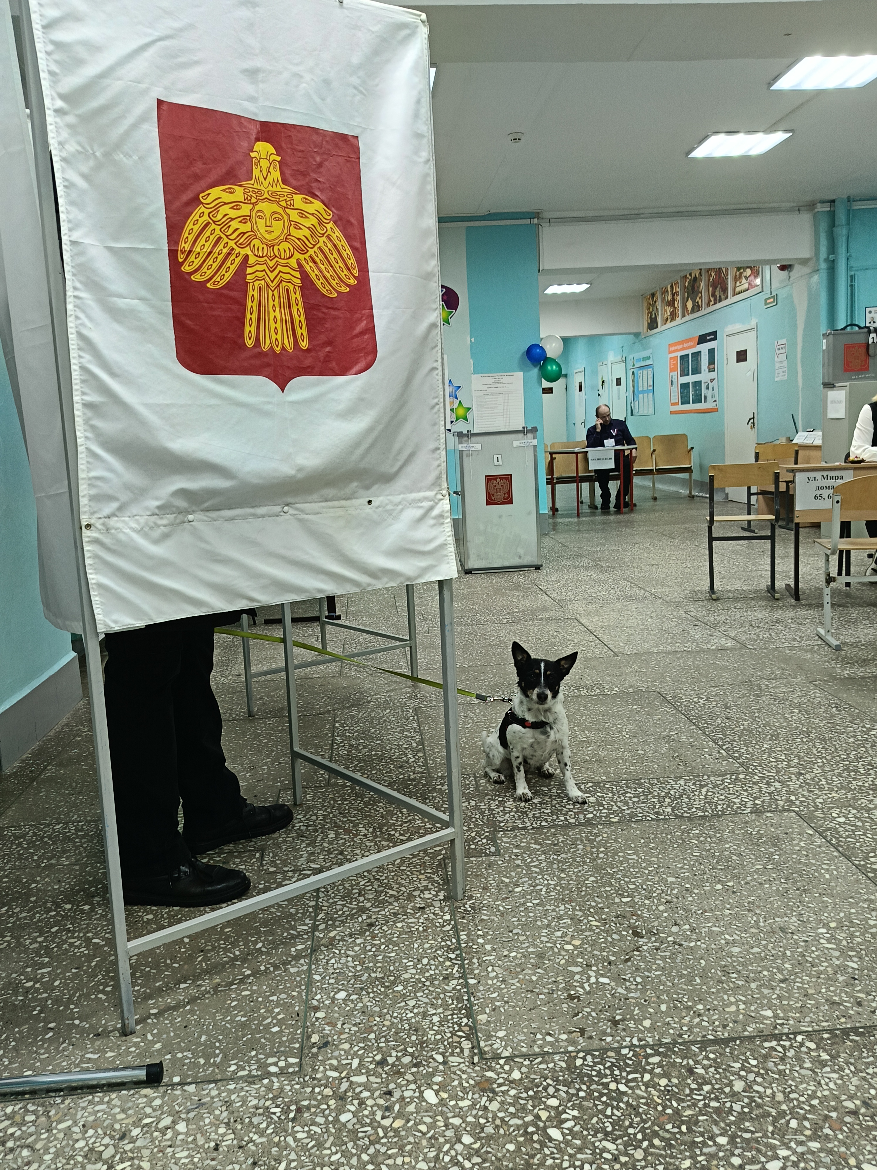 Сообщение наблюдателя — УИК №173, Республика Коми