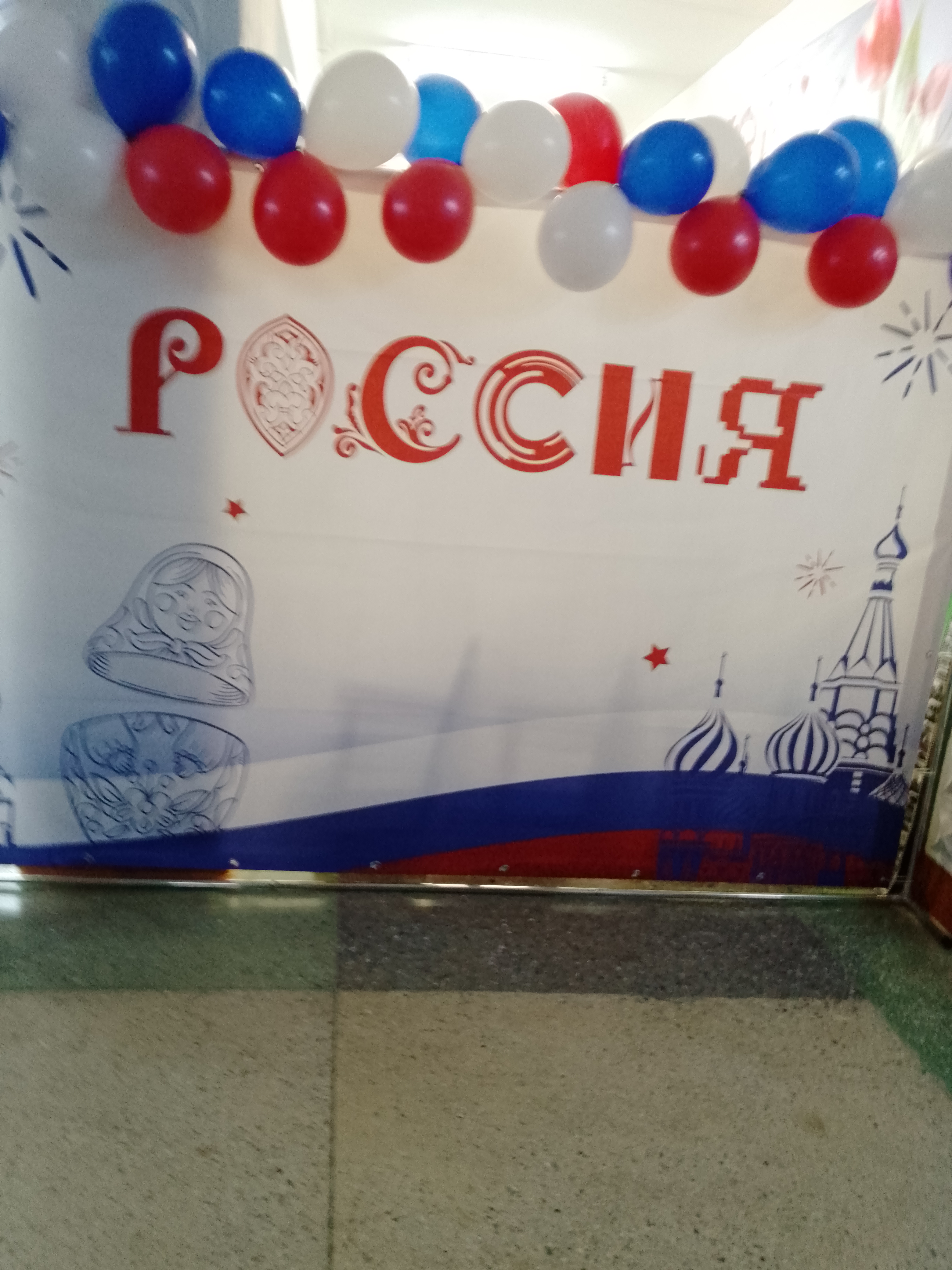 Сообщение — УИК №294, Новосибирская область