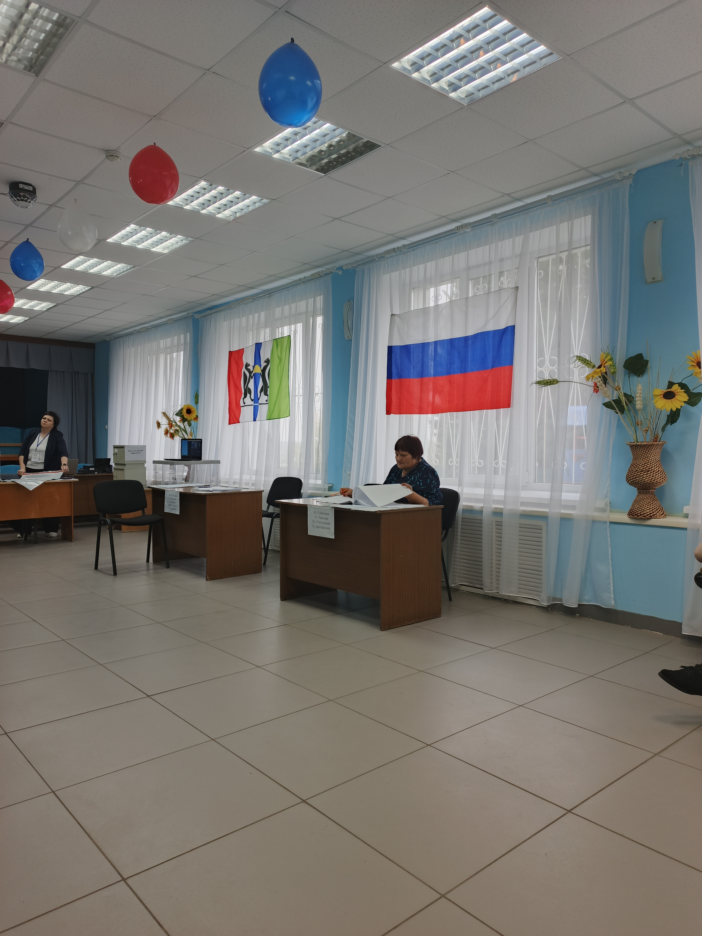 Сообщение — УИК №744, Новосибирская область