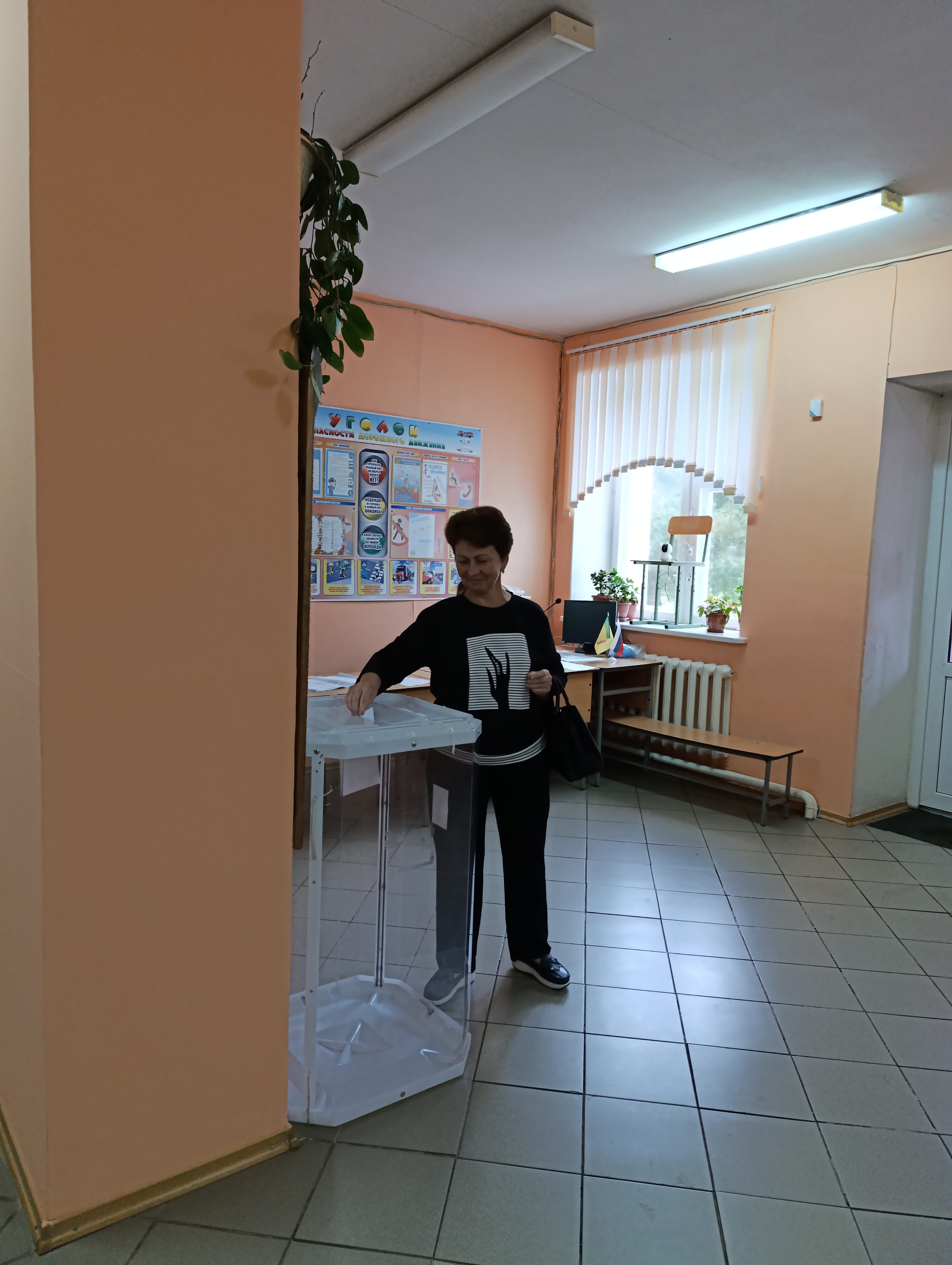 Сообщение — УИК №920, Пензенская область