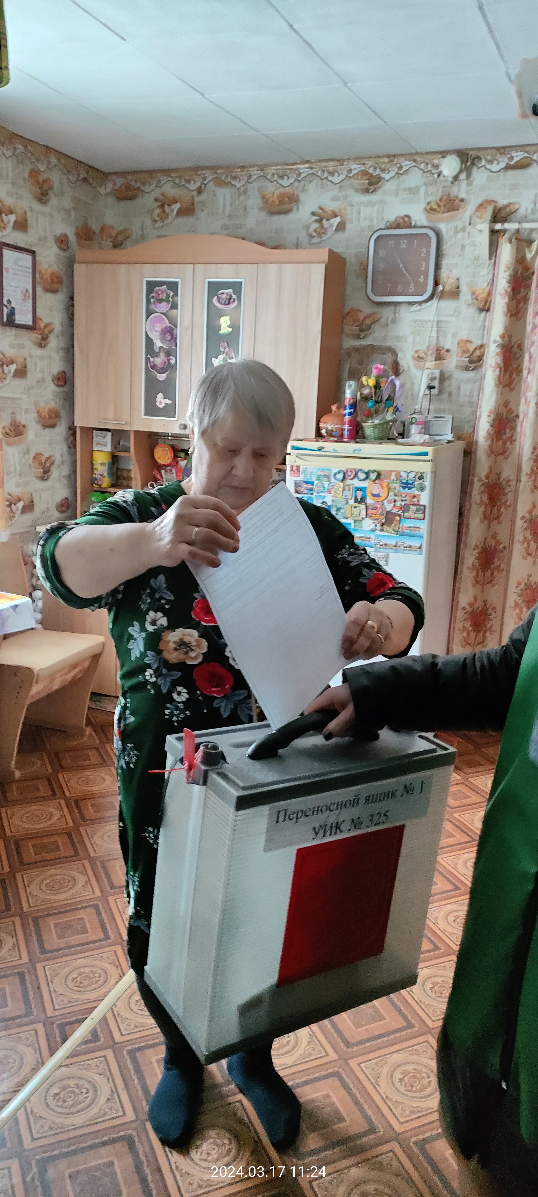 Сообщение наблюдателя — УИК №325, Архангельская область