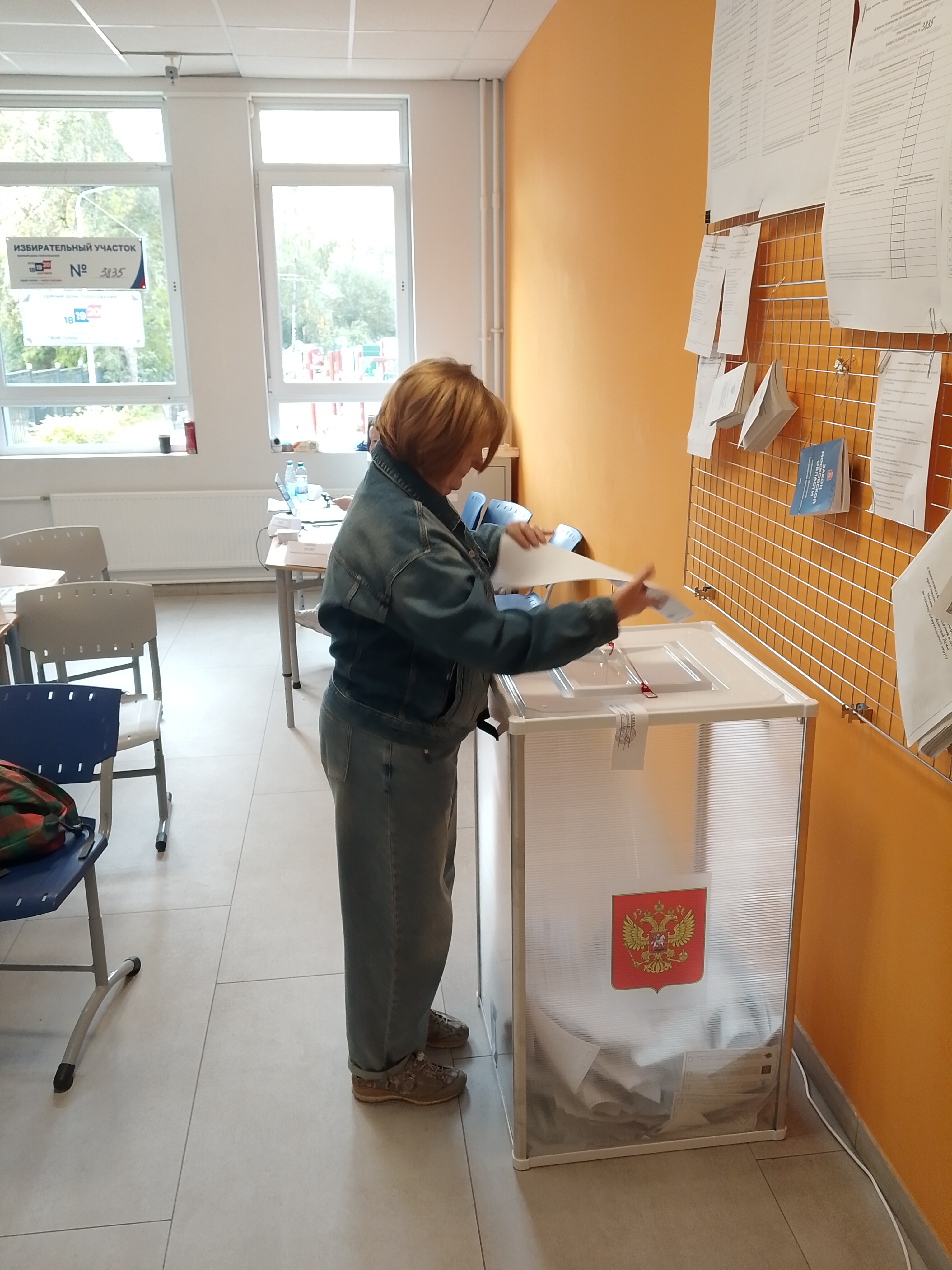 Сообщение — УИК №3835, Московская область