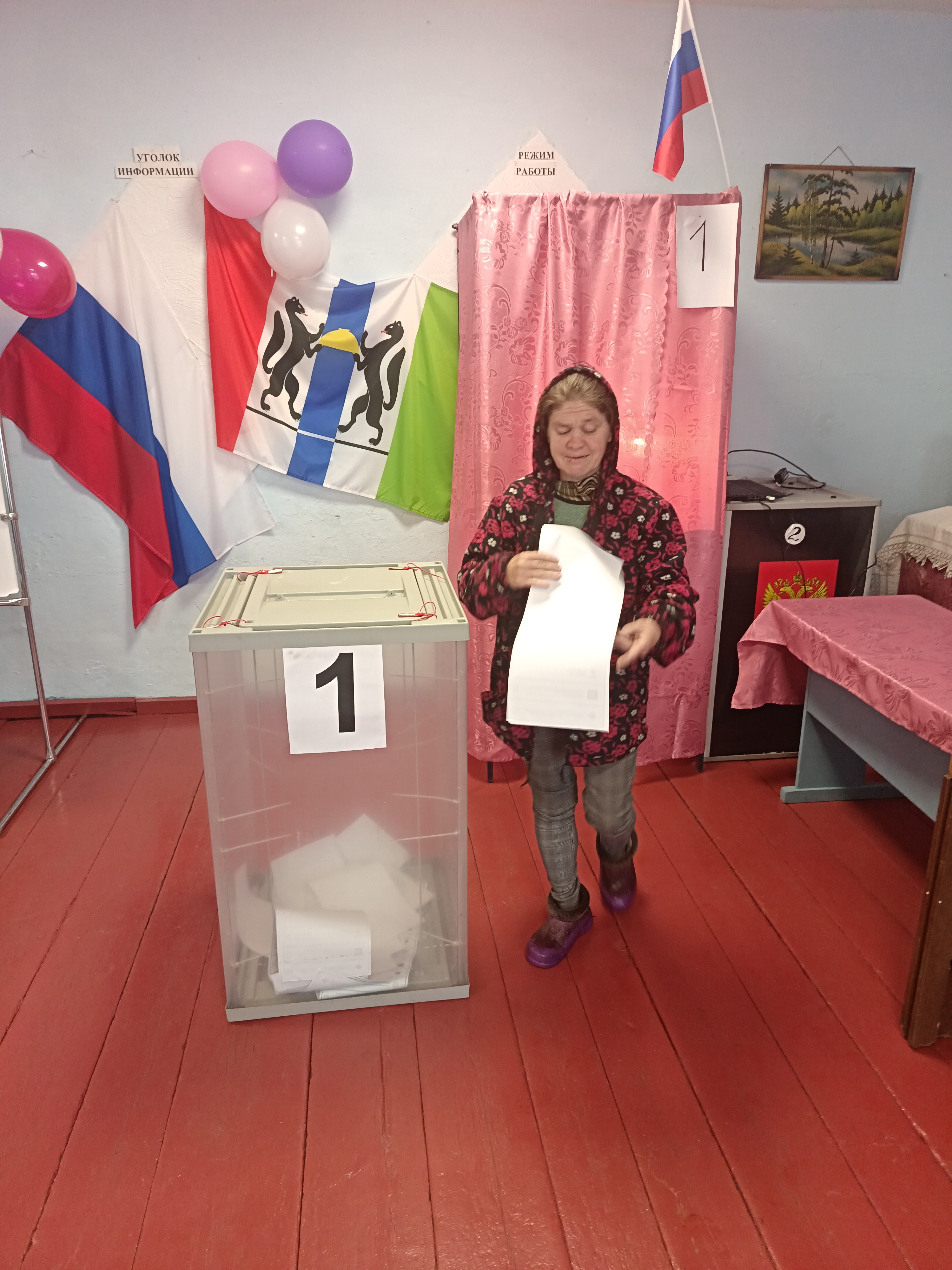 Сообщение — УИК №1233, Новосибирская область