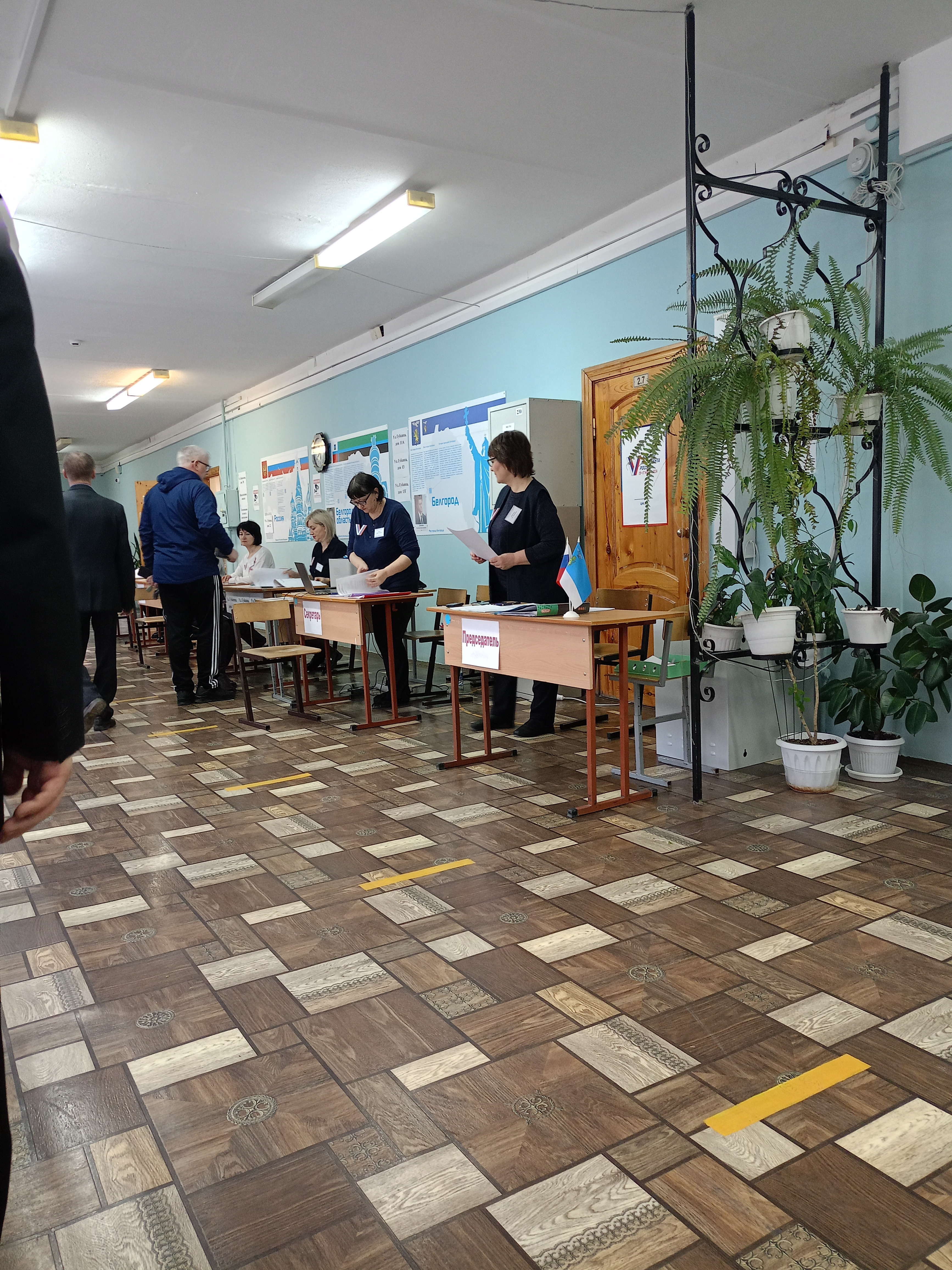 Сообщение наблюдателя — УИК №230, Белгородская область