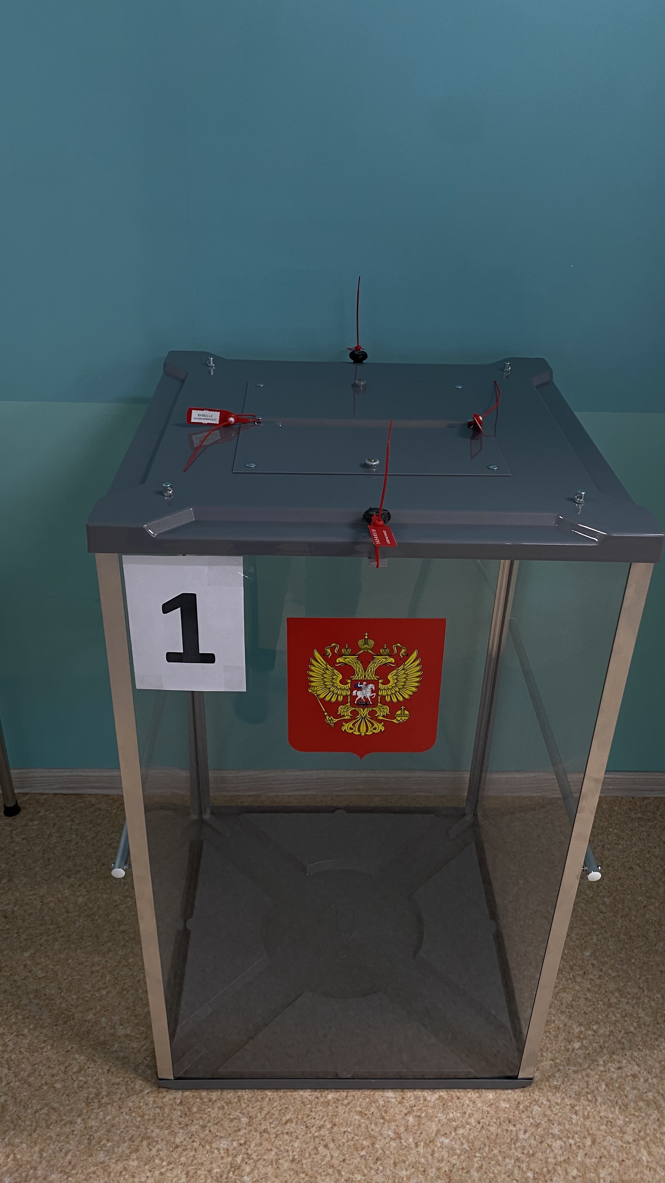 Сообщение наблюдателя — УИК №10, Республика Коми