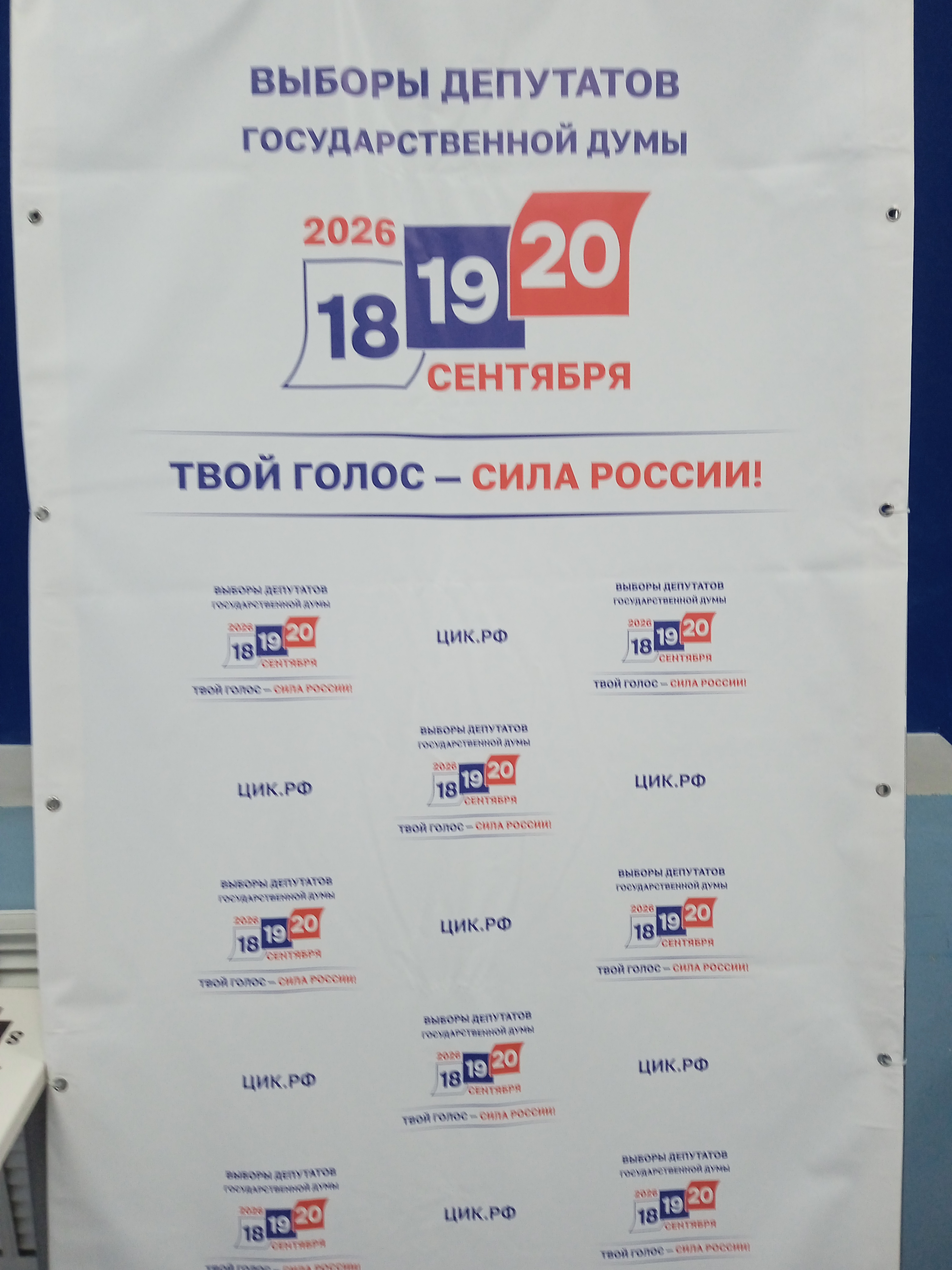 Сообщение — УИК №309, Воронежская область