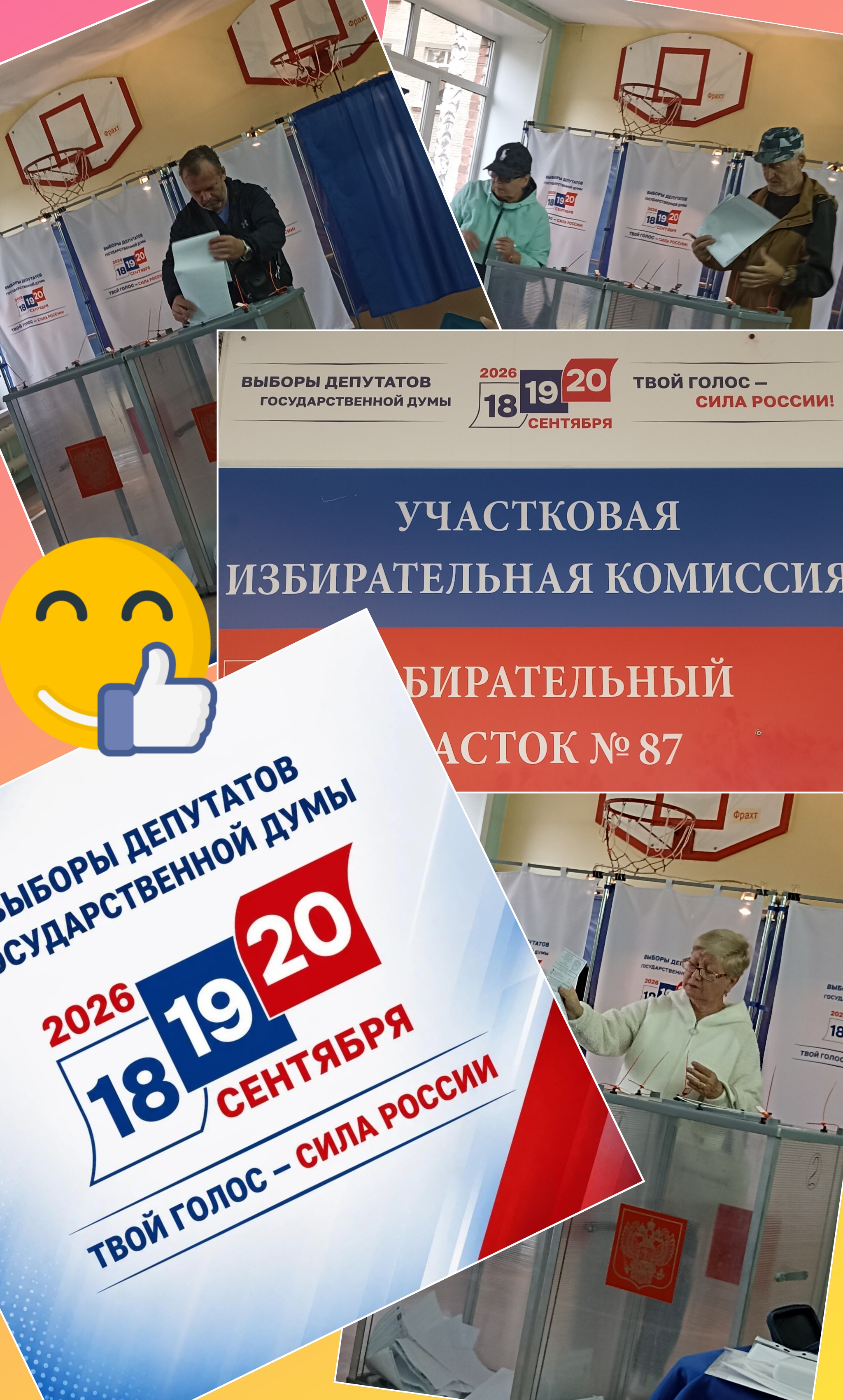 Сообщение — УИК №87, Иркутская область