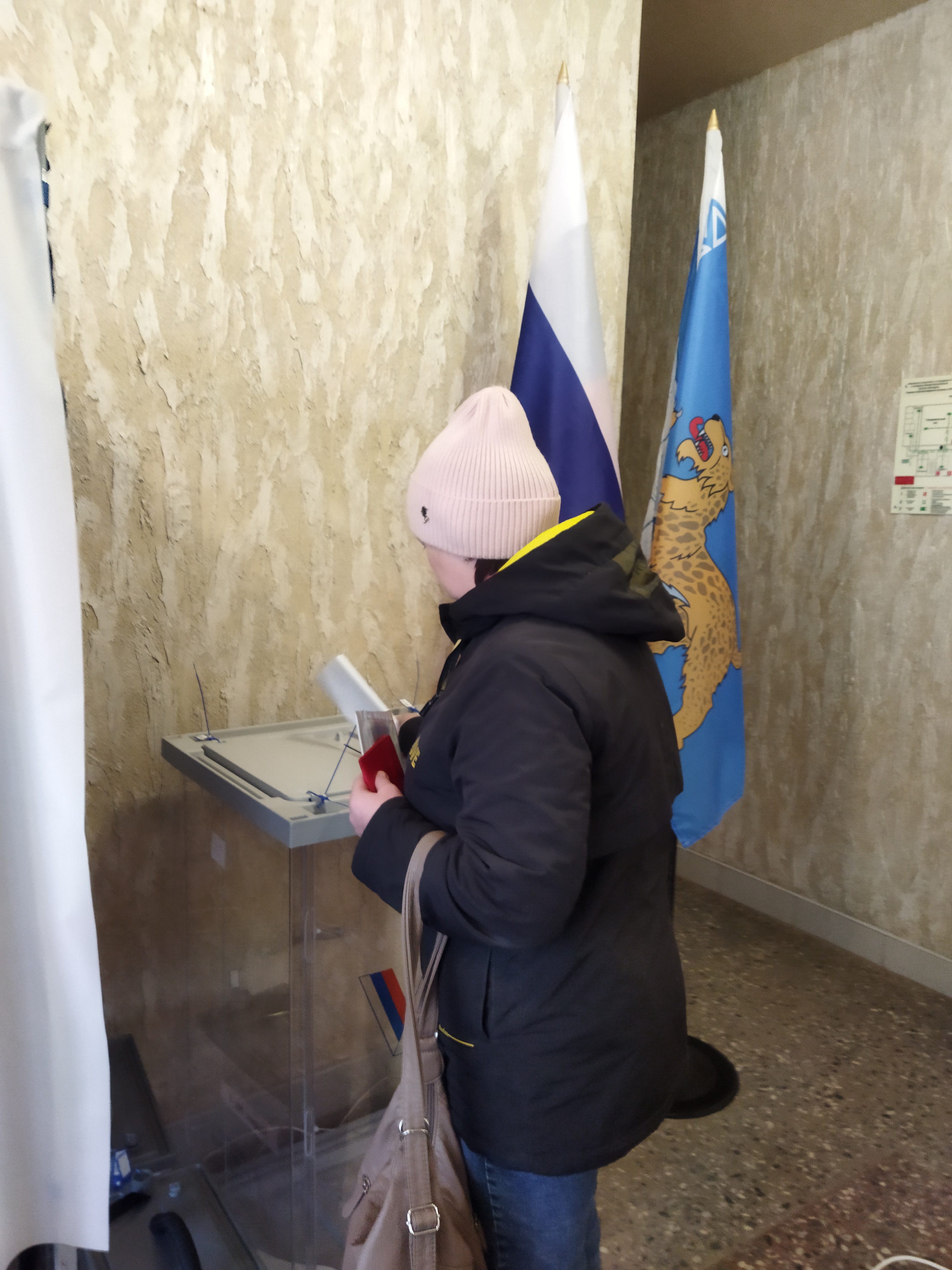 Сообщение наблюдателя — УИК №422, Псковская область
