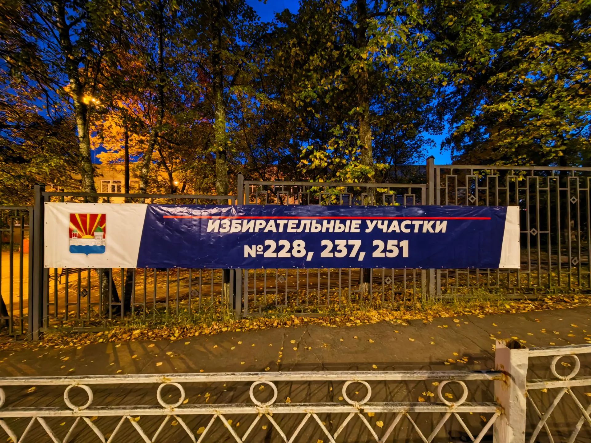 Сообщение — УИК №228, Московская область