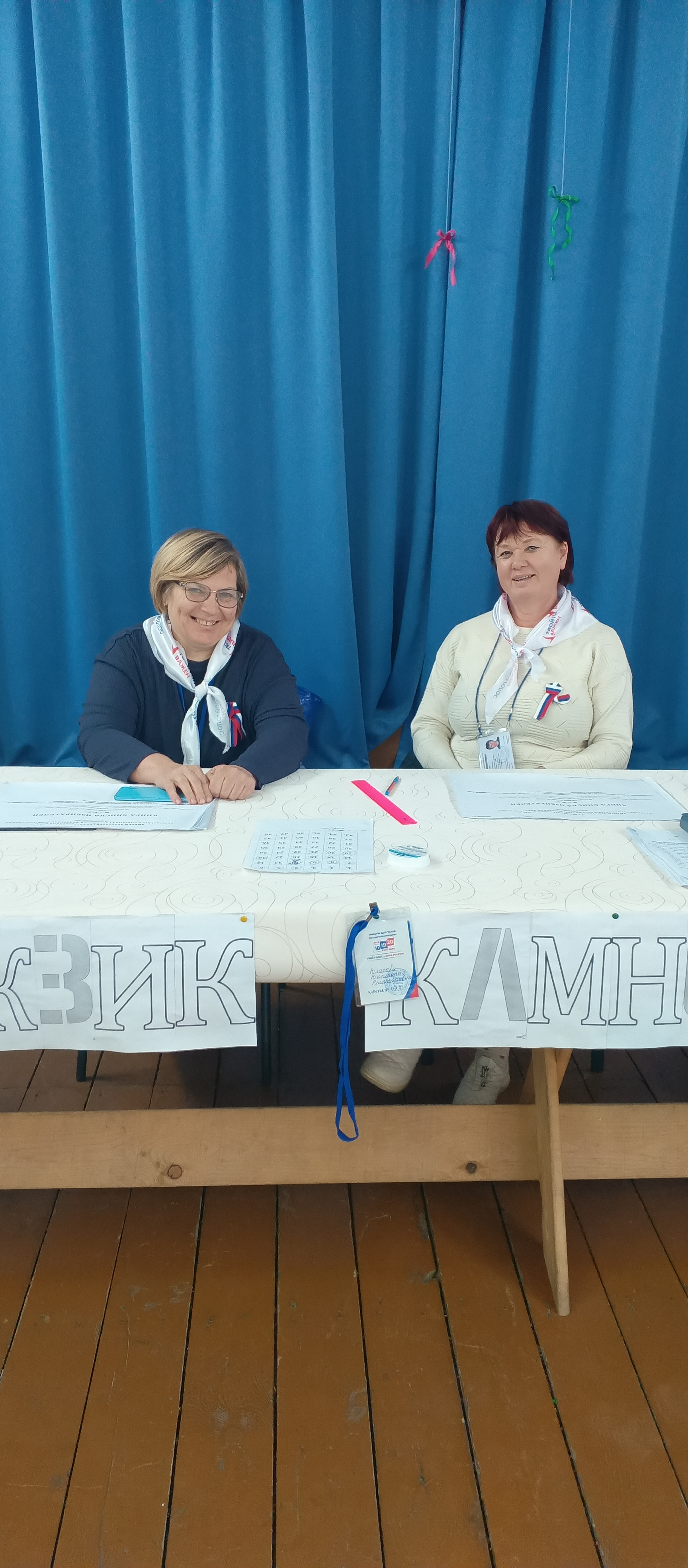 Сообщение — УИК №473, Новосибирская область