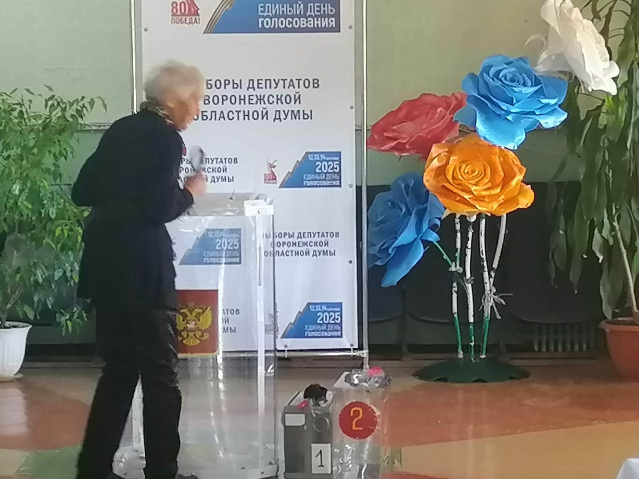 Сообщение наблюдателя — УИК №1715, Воронежская область