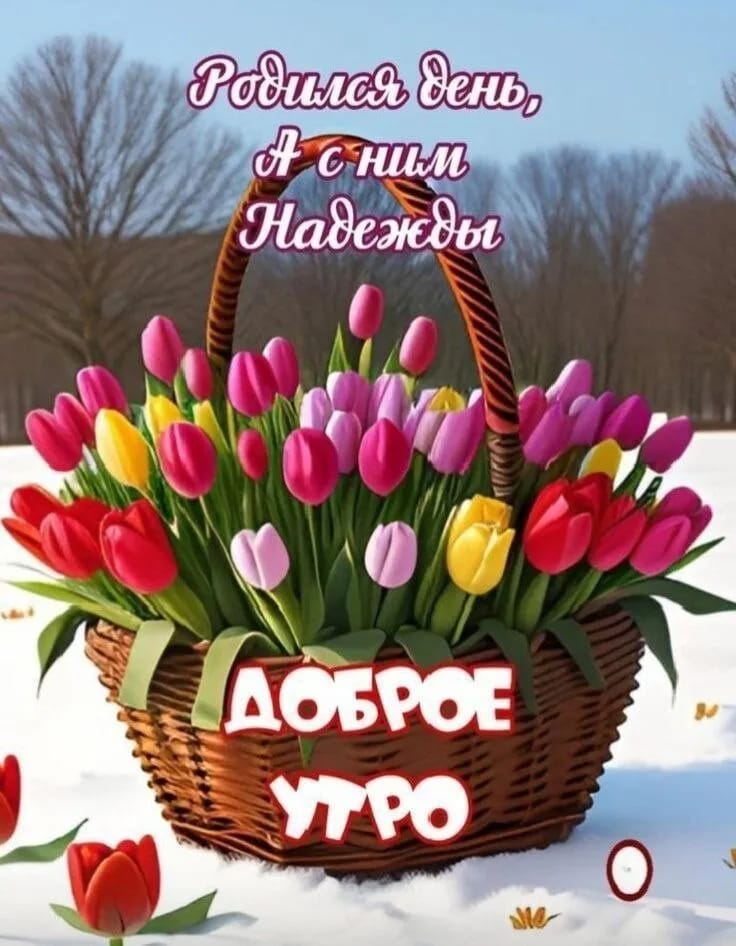 Сообщение наблюдателя — УИК №2087, Республика Башкортостан