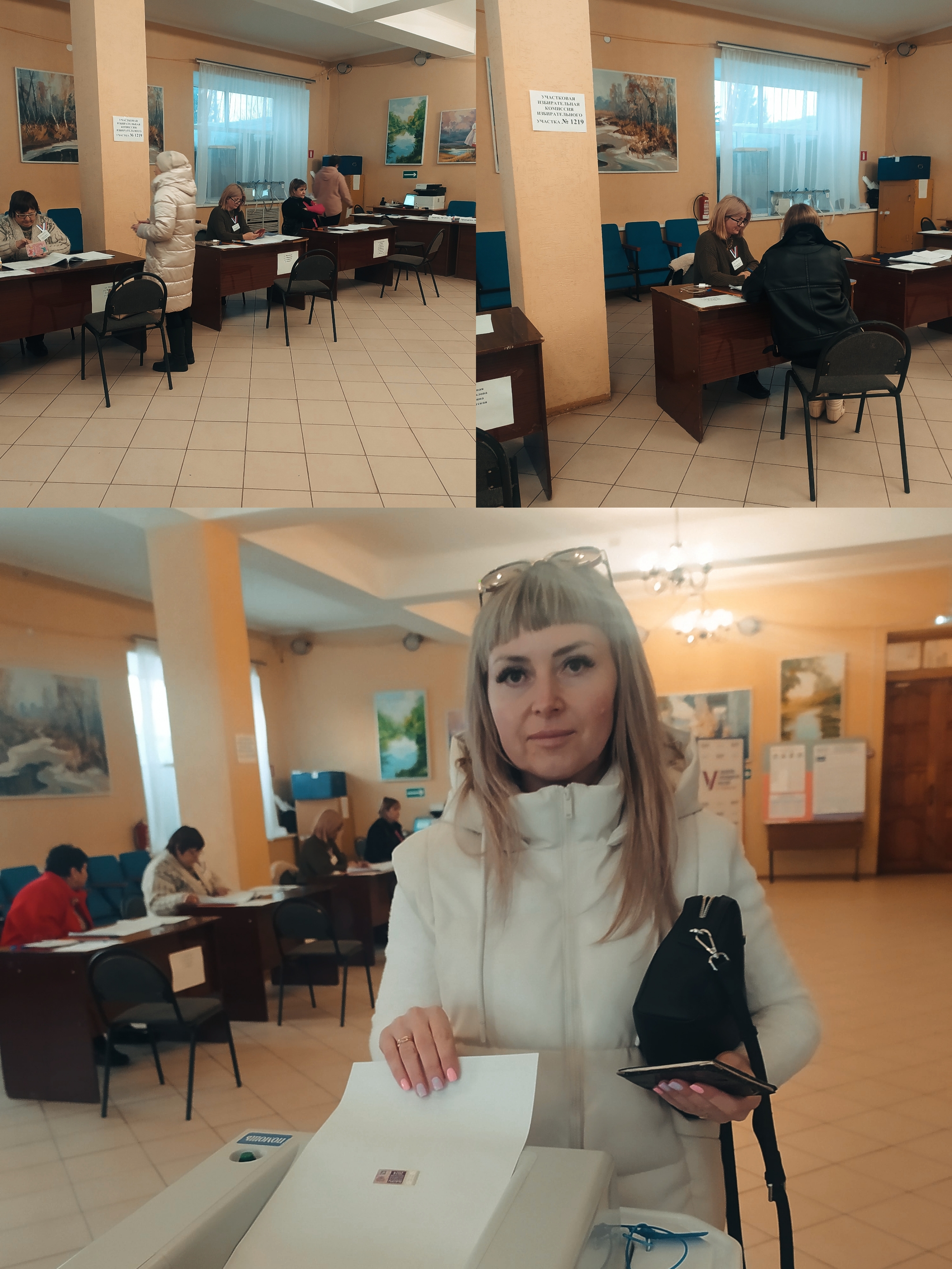 Сообщение наблюдателя — УИК №1219, Саратовская область