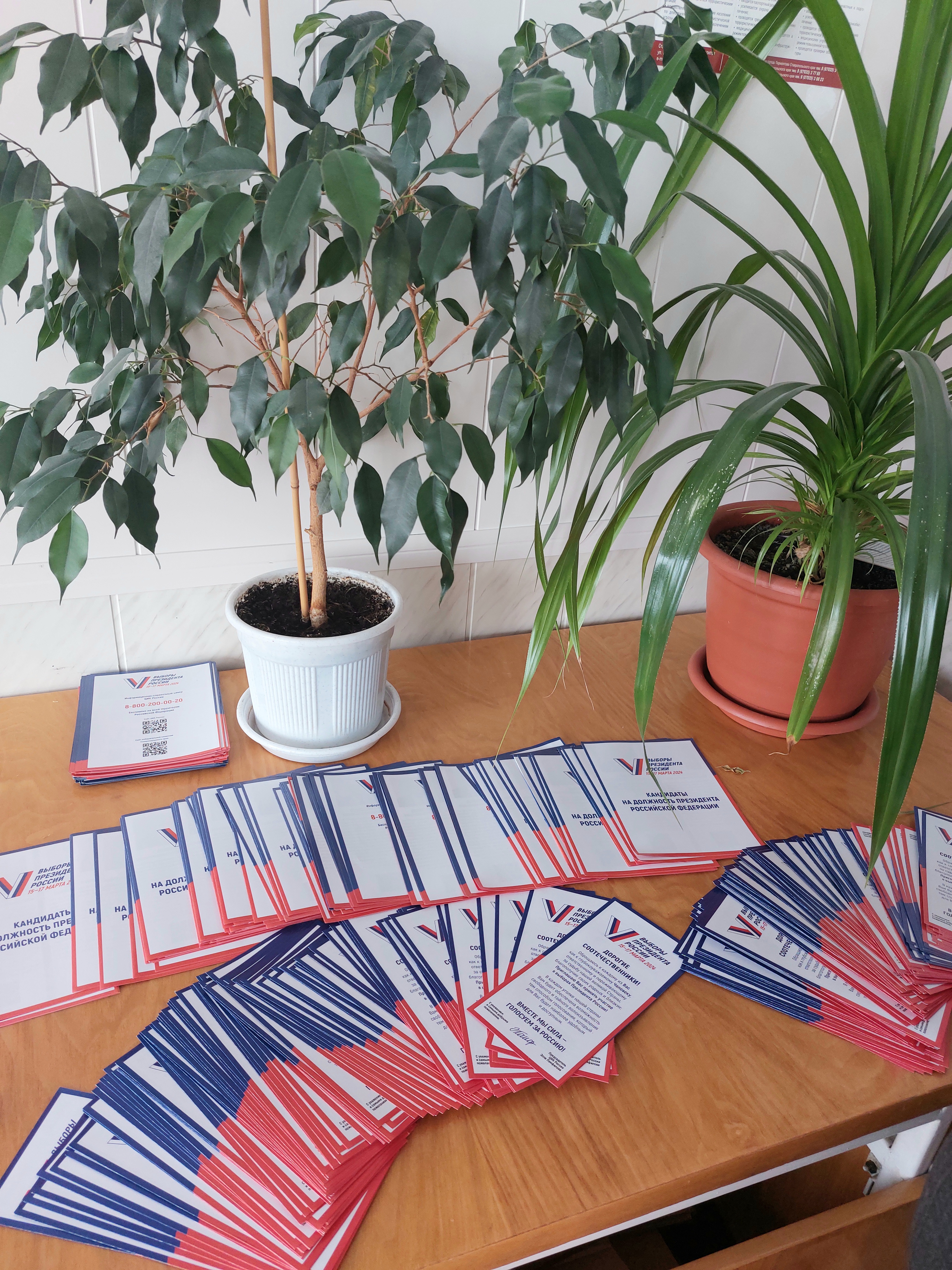 Сообщение наблюдателя — УИК №716, Ставропольский край