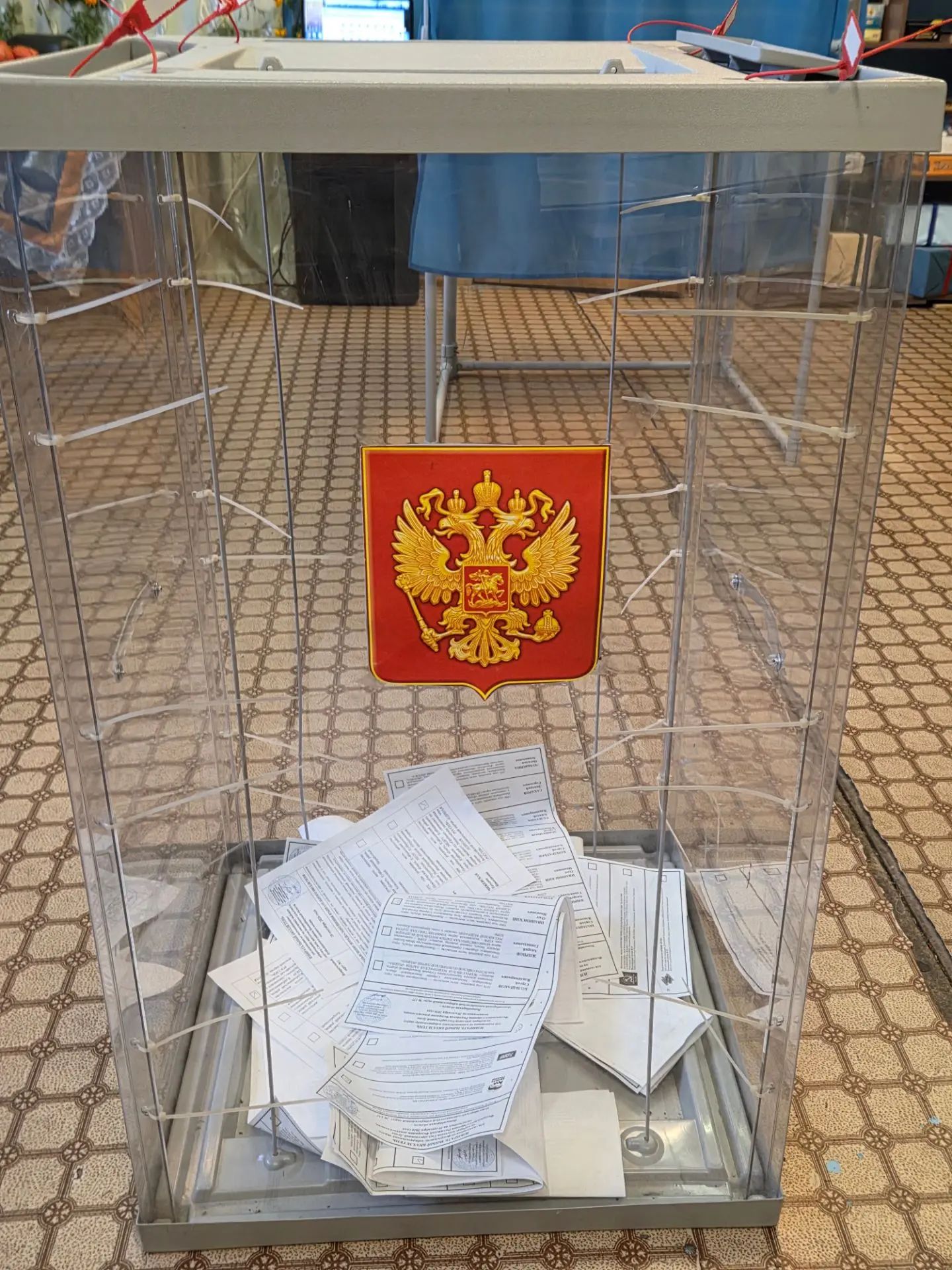 Сообщение — УИК №572, Новосибирская область