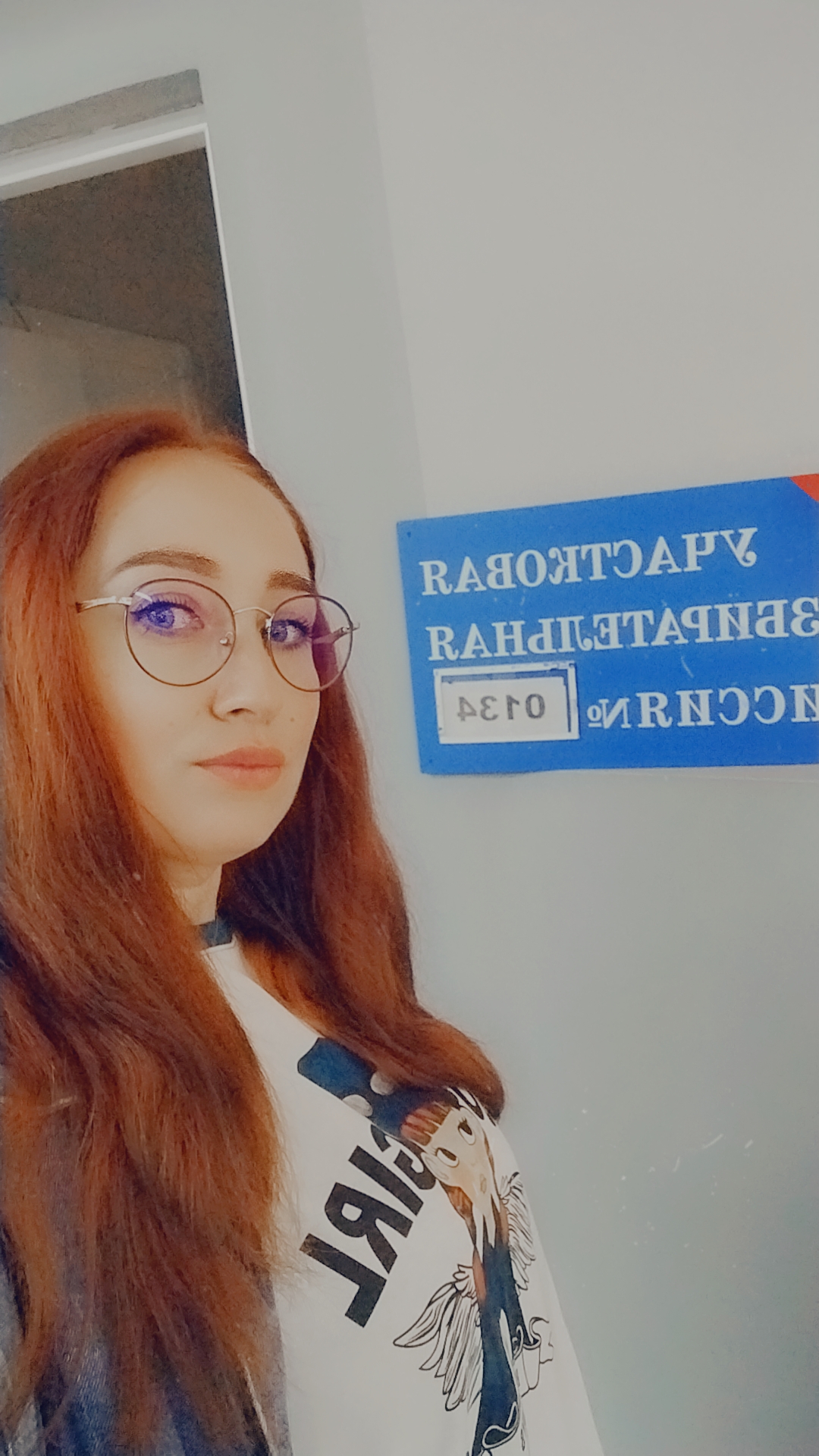 Сообщение — УИК №134, Тульская область