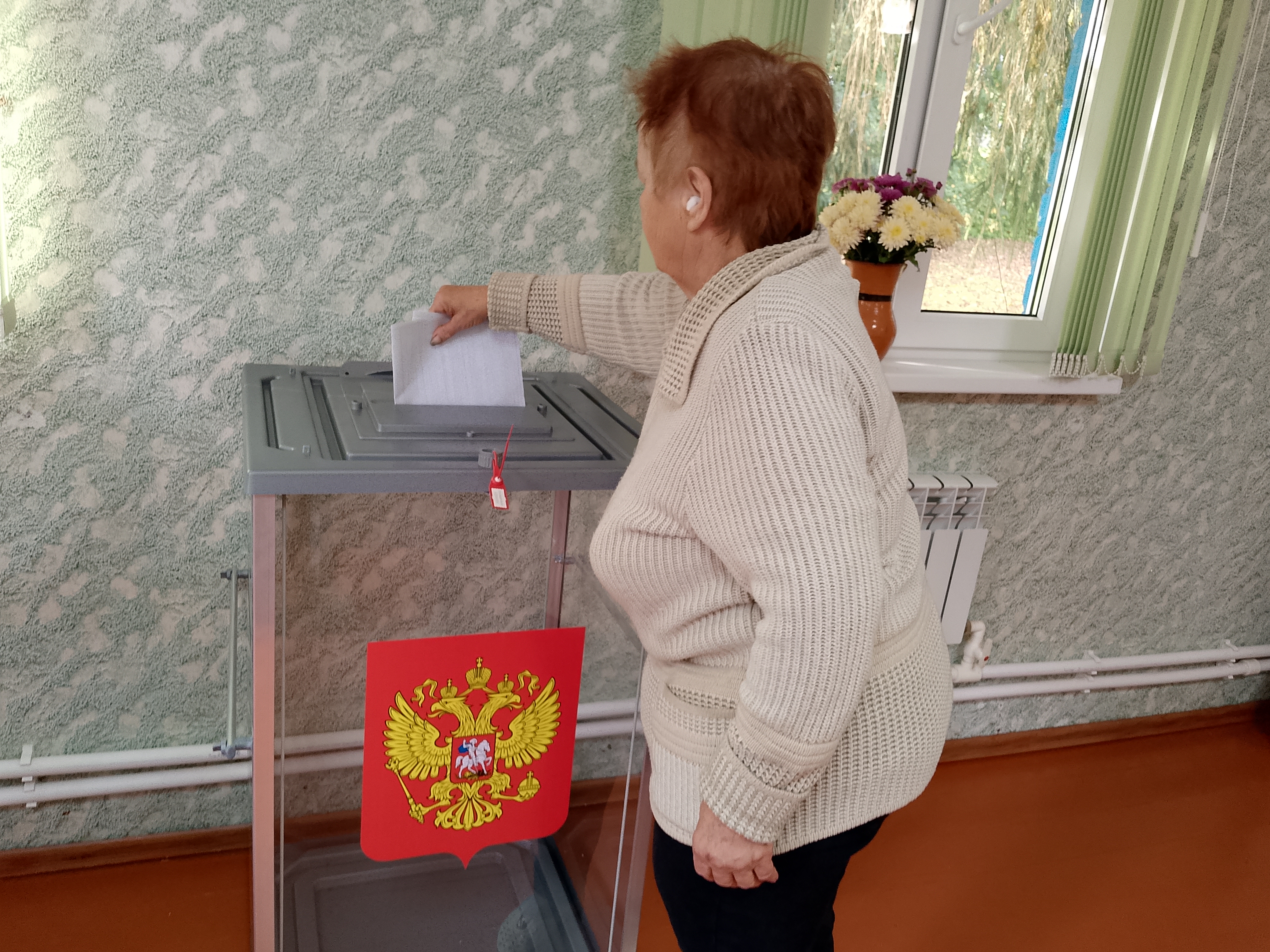 Сообщение — УИК №269, Смоленская область