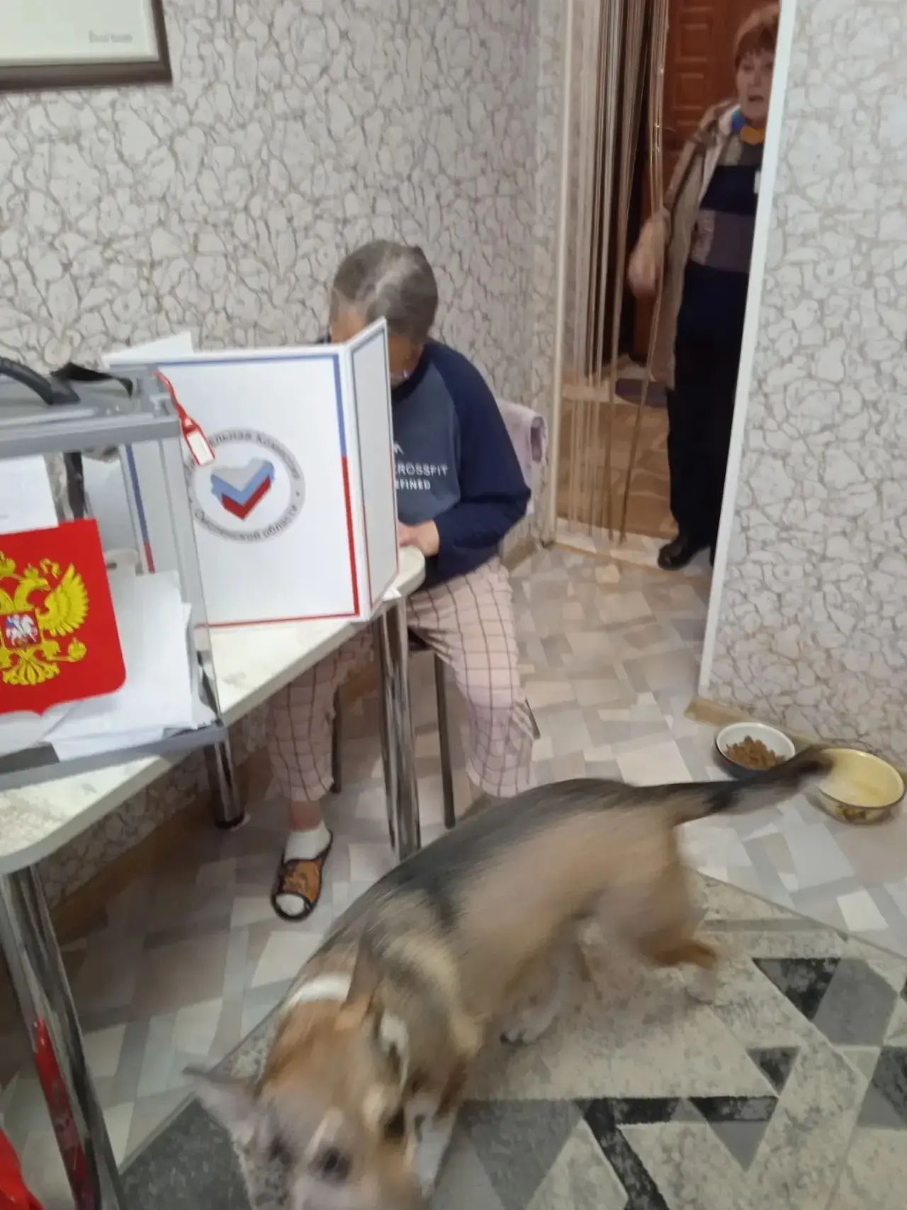 Сообщение — УИК №368, Смоленская область