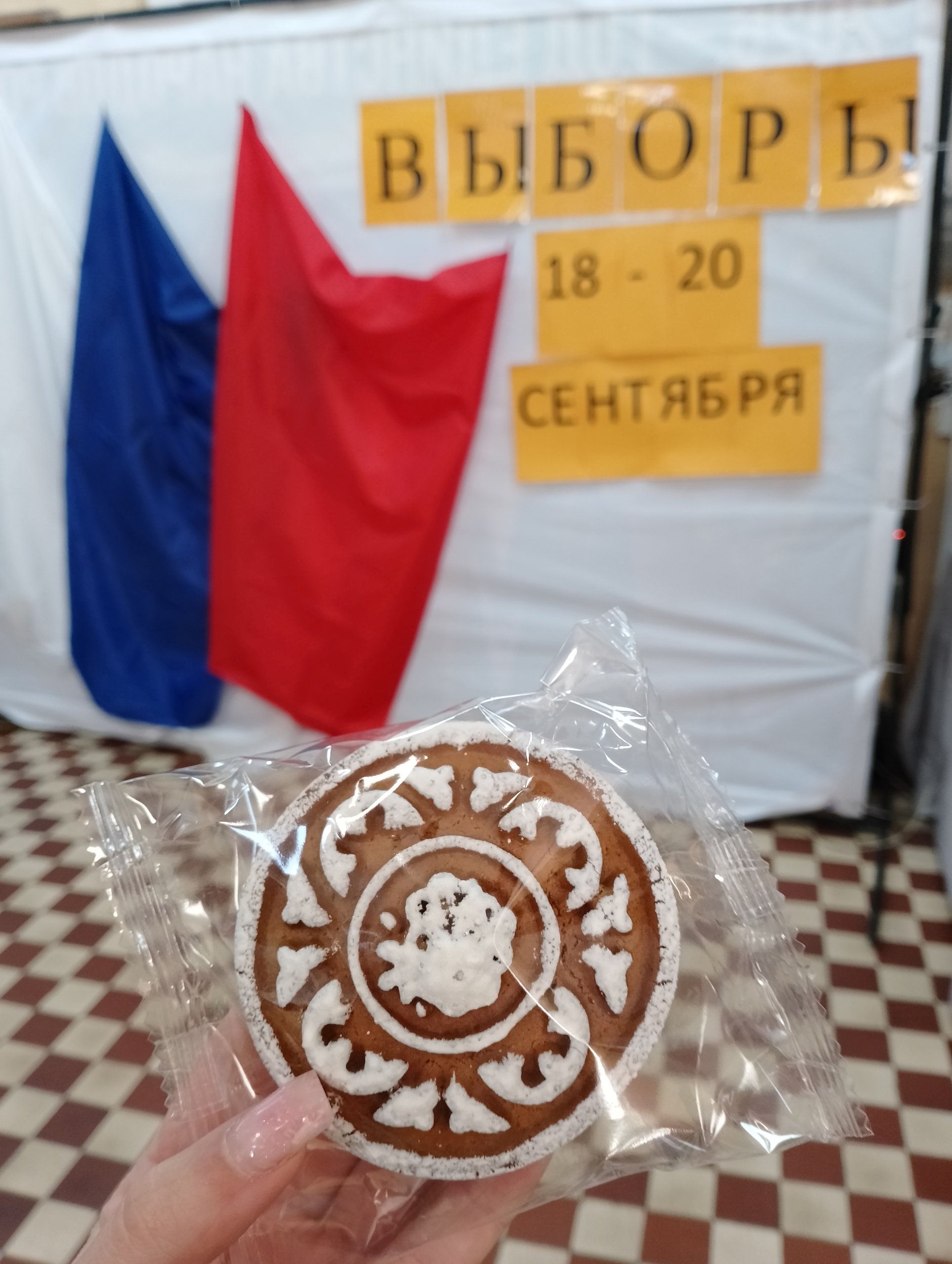 Сообщение — УИК №496, Смоленская область
