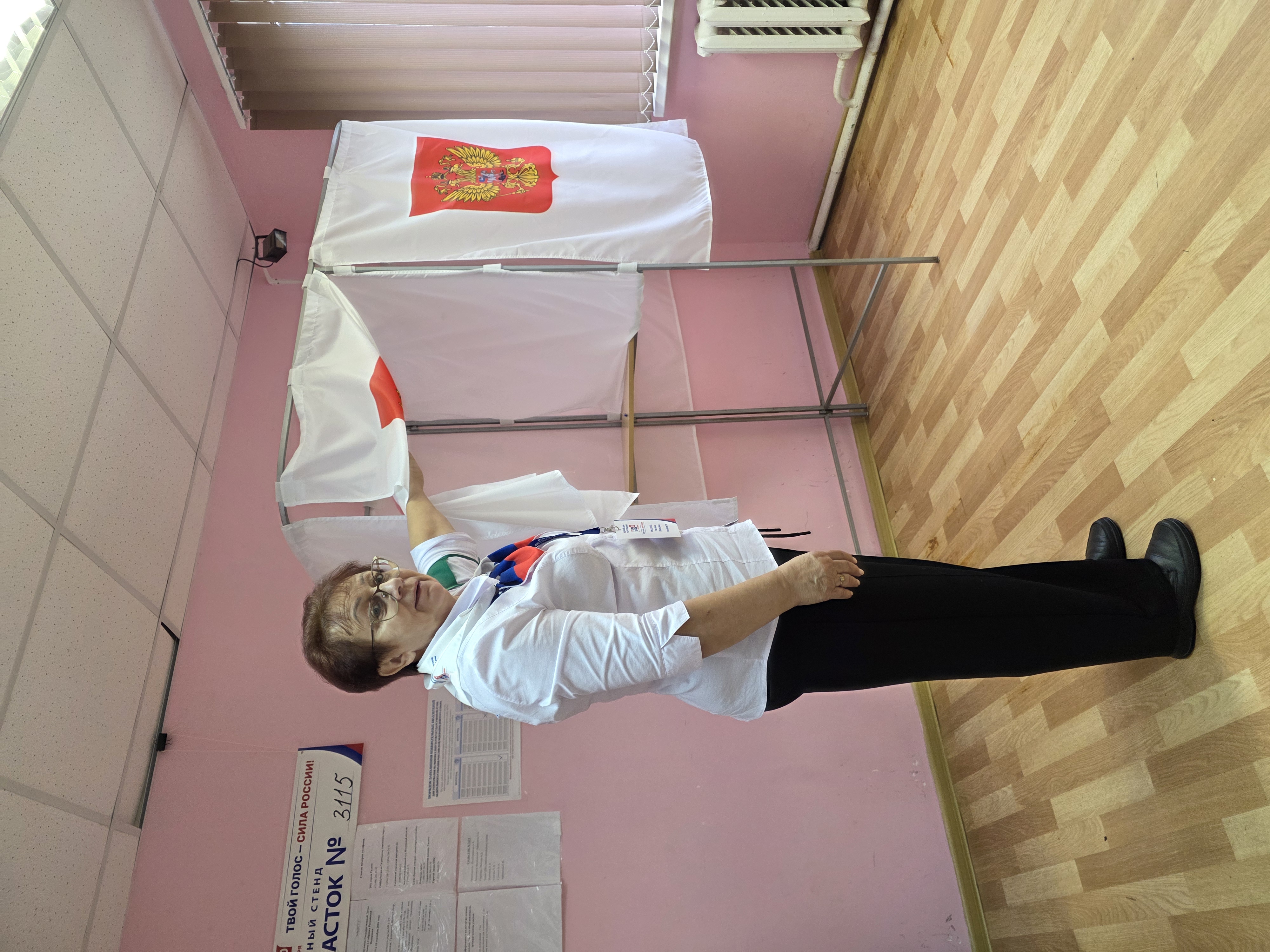 Сообщение — УИК №3115, Московская область