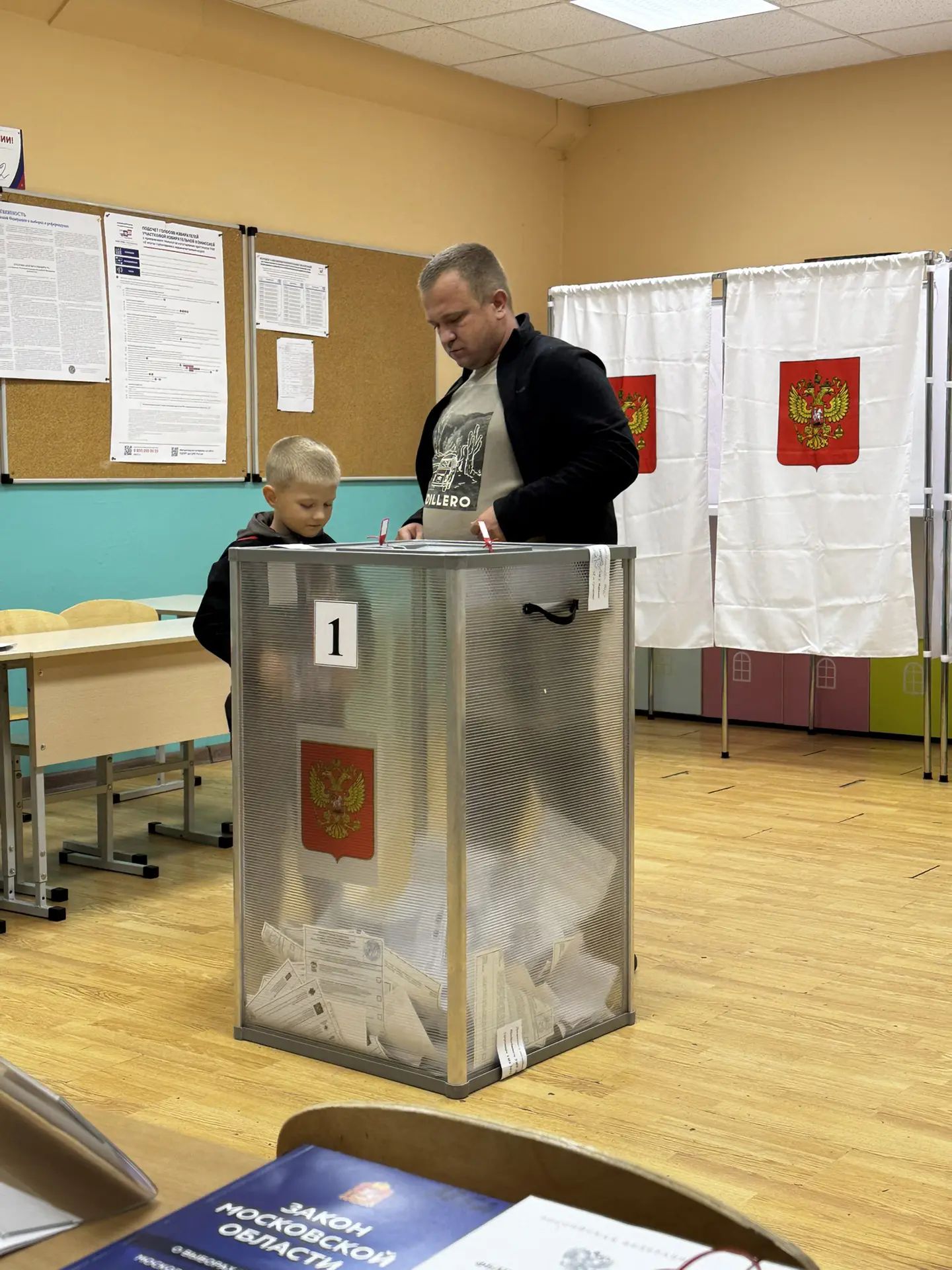 Сообщение — УИК №3852, Московская область