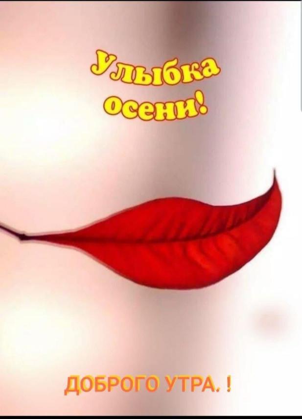 Сообщение наблюдателя — УИК №45, Томская область