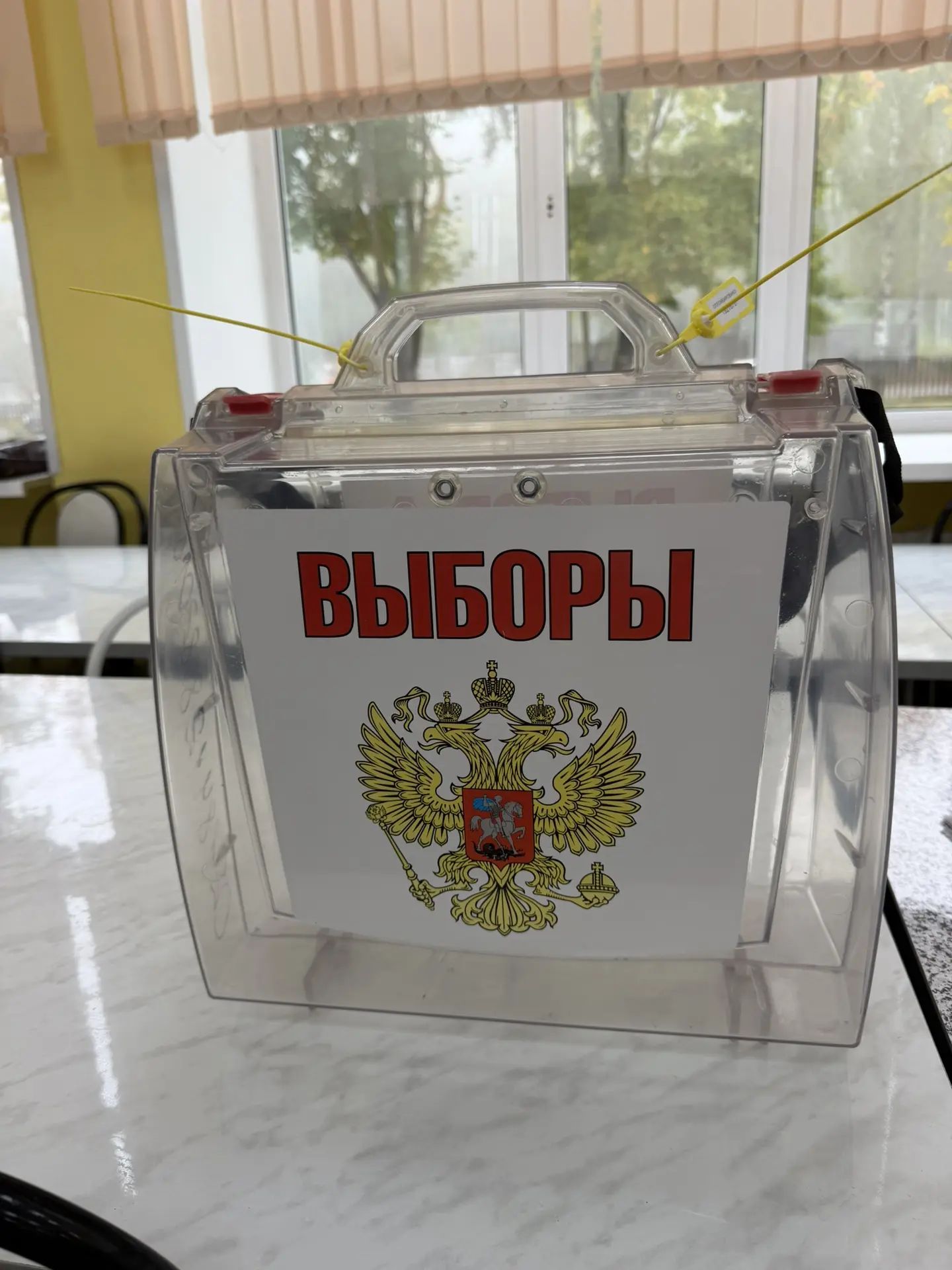 Сообщение — УИК №193, Московская область