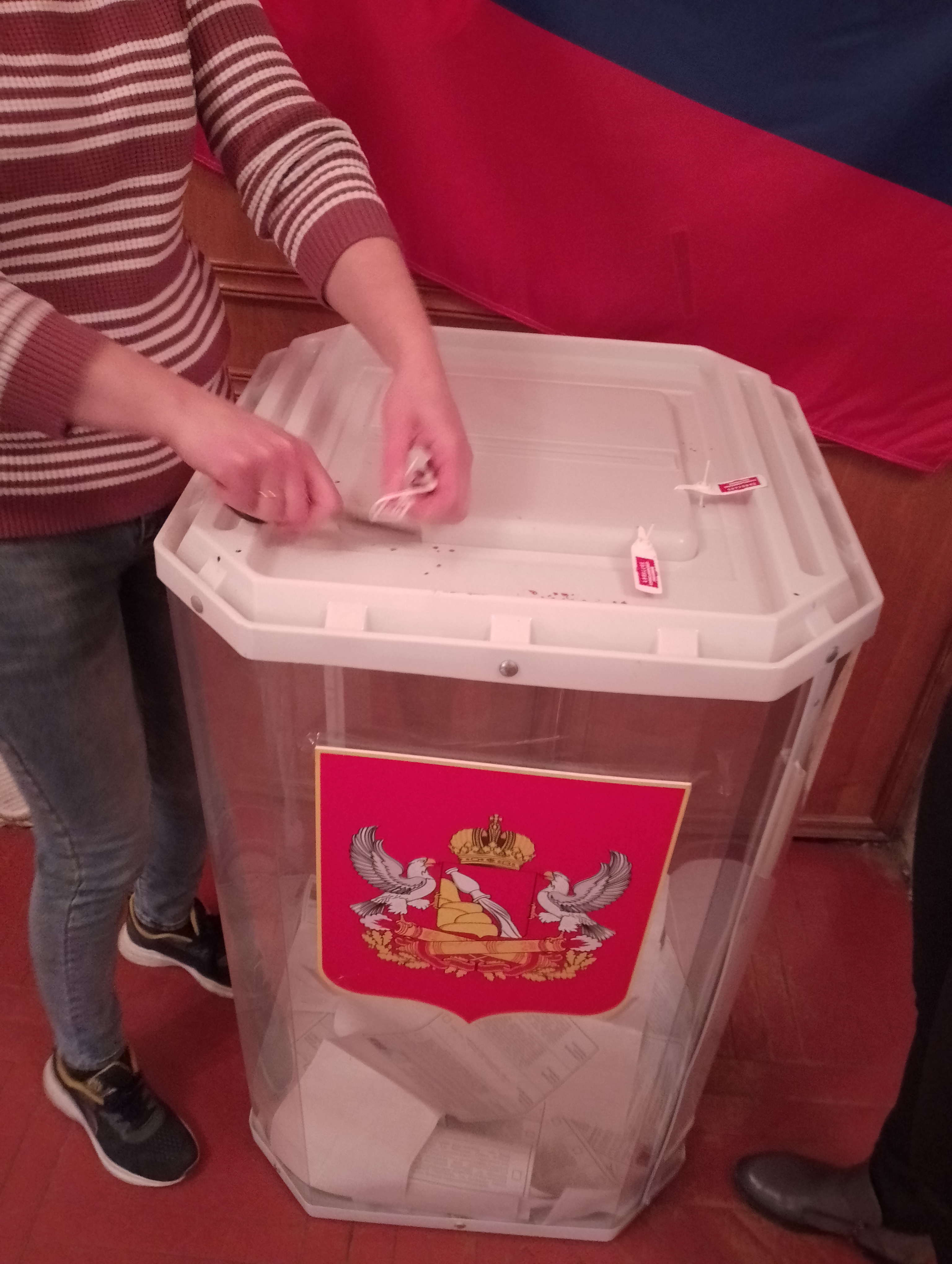 Сообщение наблюдателя — УИК №2743, Воронежская область