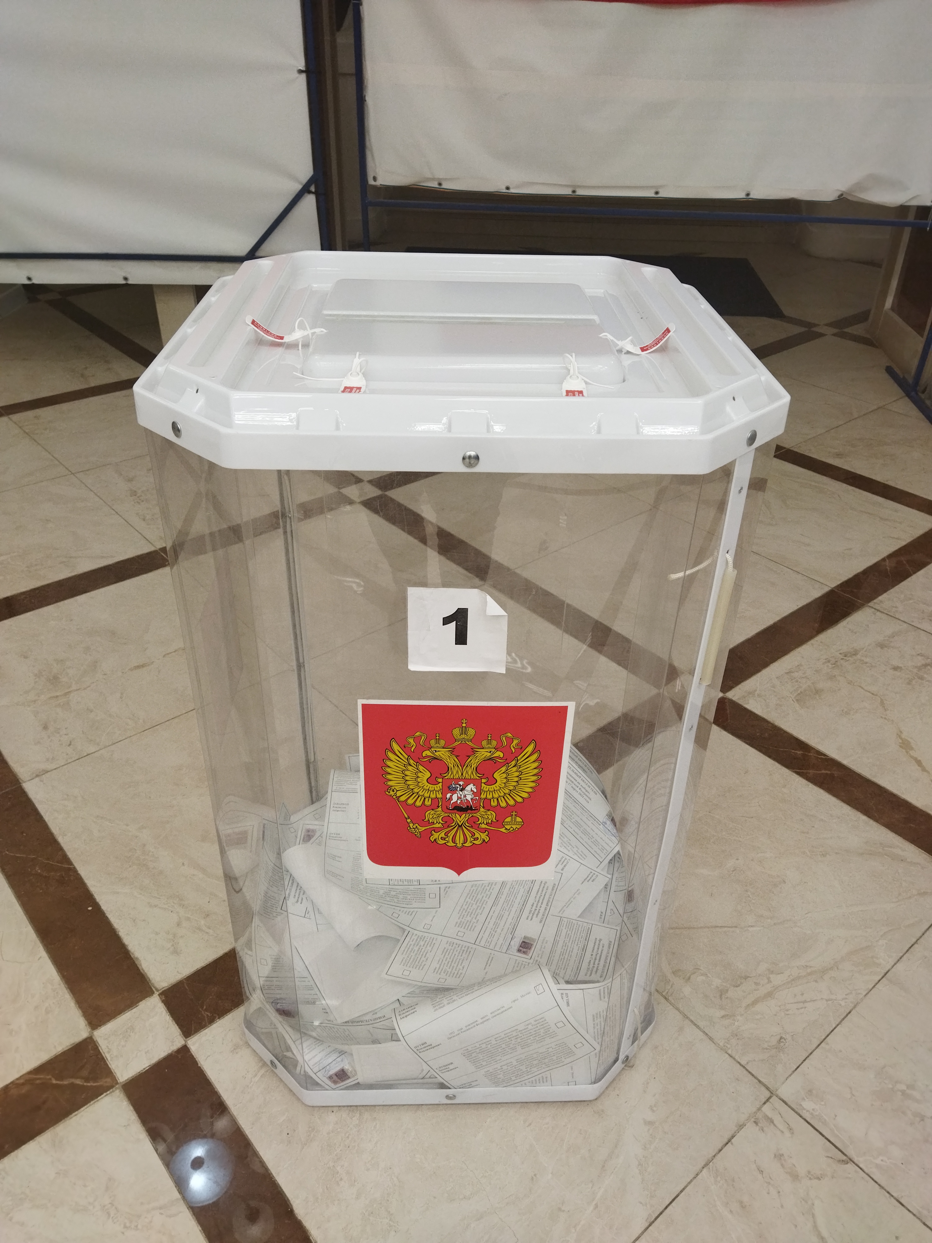 Сообщение наблюдателя — УИК №1435, Воронежская область