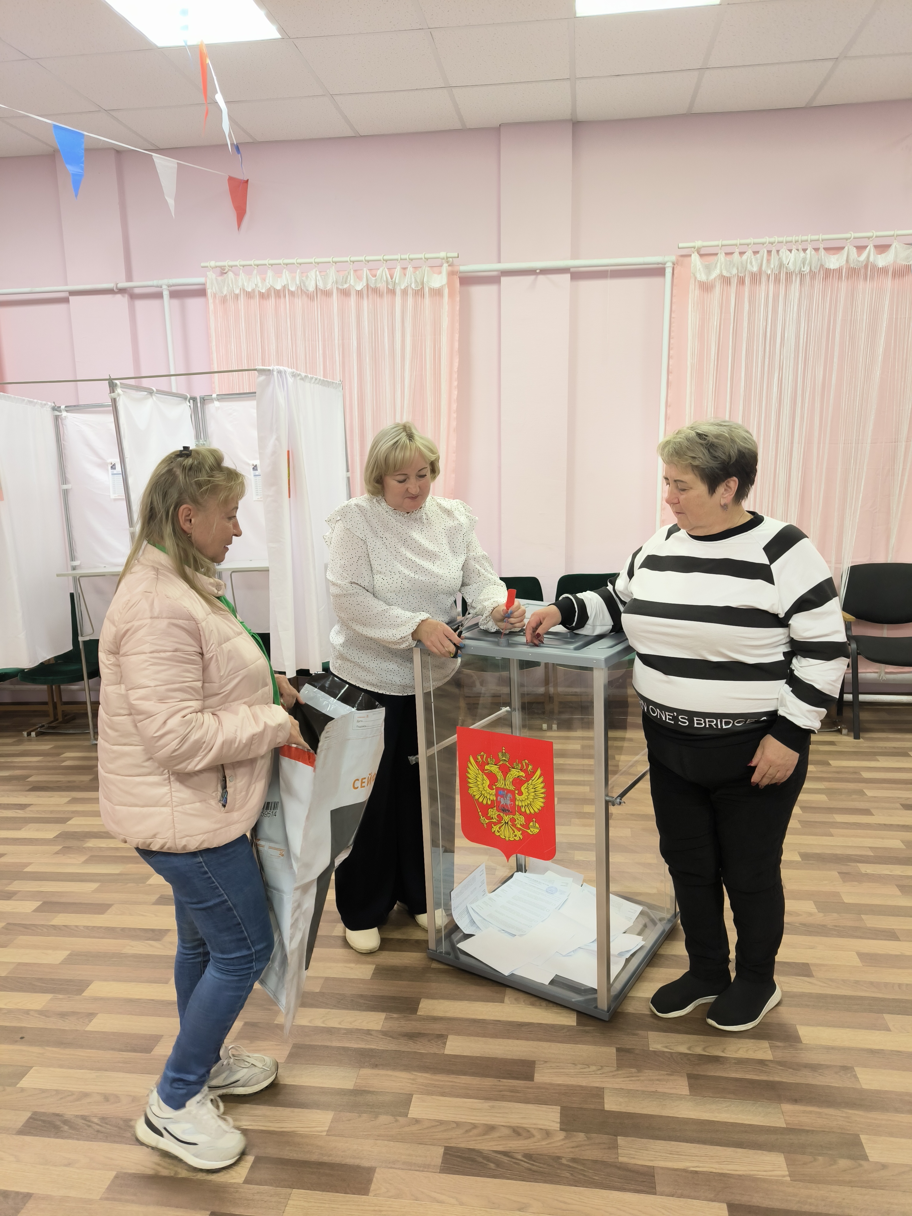 Сообщение наблюдателя — УИК №939, Архангельская область