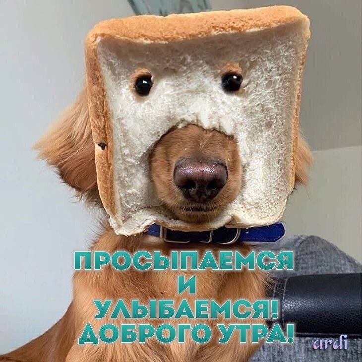 Сообщение наблюдателя — УИК №221, Новосибирская область