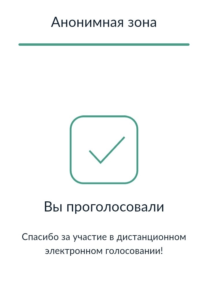Сообщение наблюдателя — УИК №744, Владимирская область