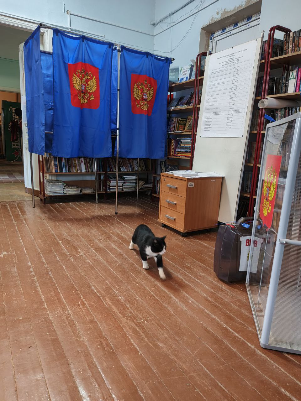Сообщение наблюдателя — УИК №733, Ленинградская область